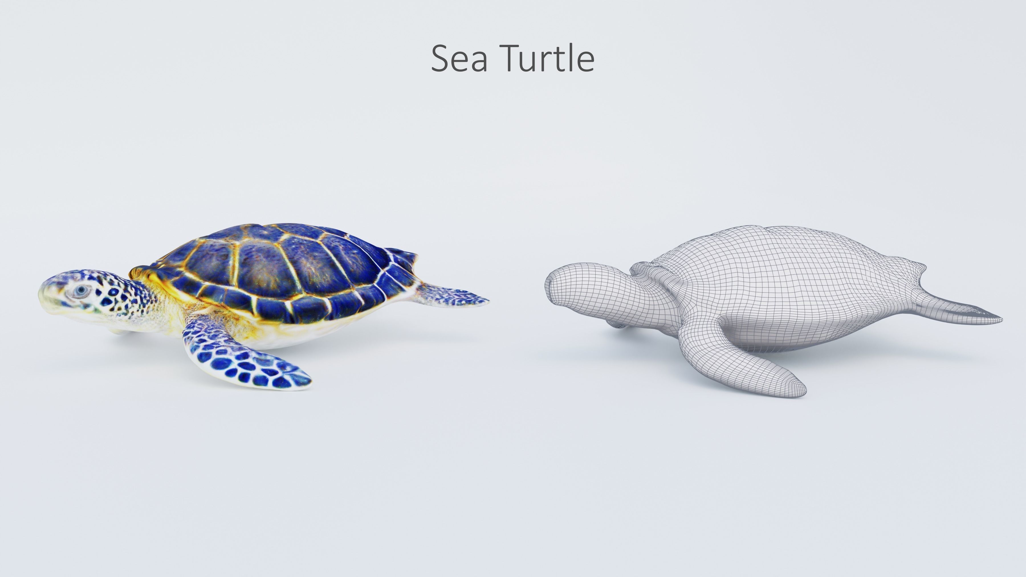 102 Animals Ultimate Collection 3D model_76