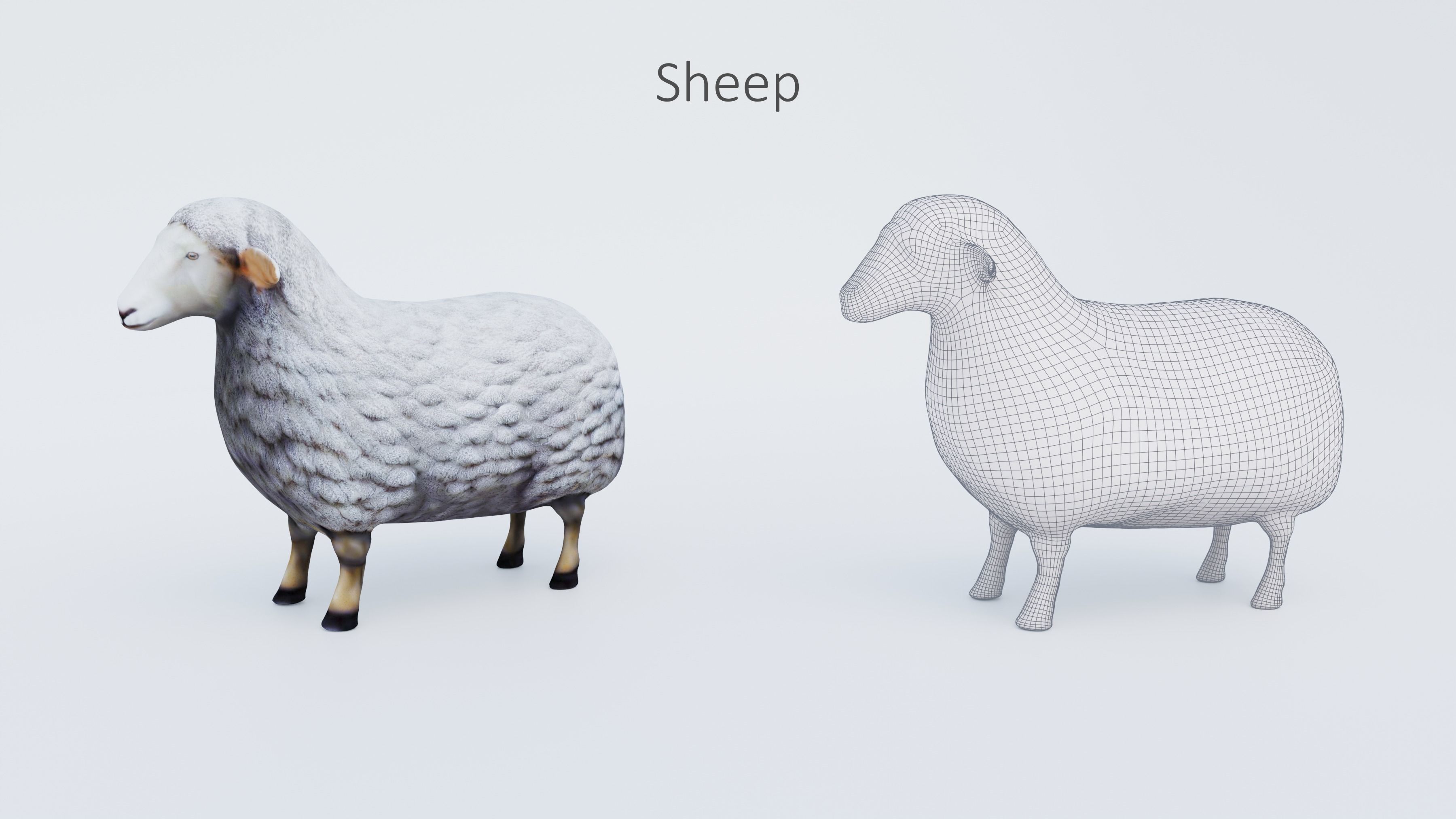 102 Animals Ultimate Collection 3D model_17