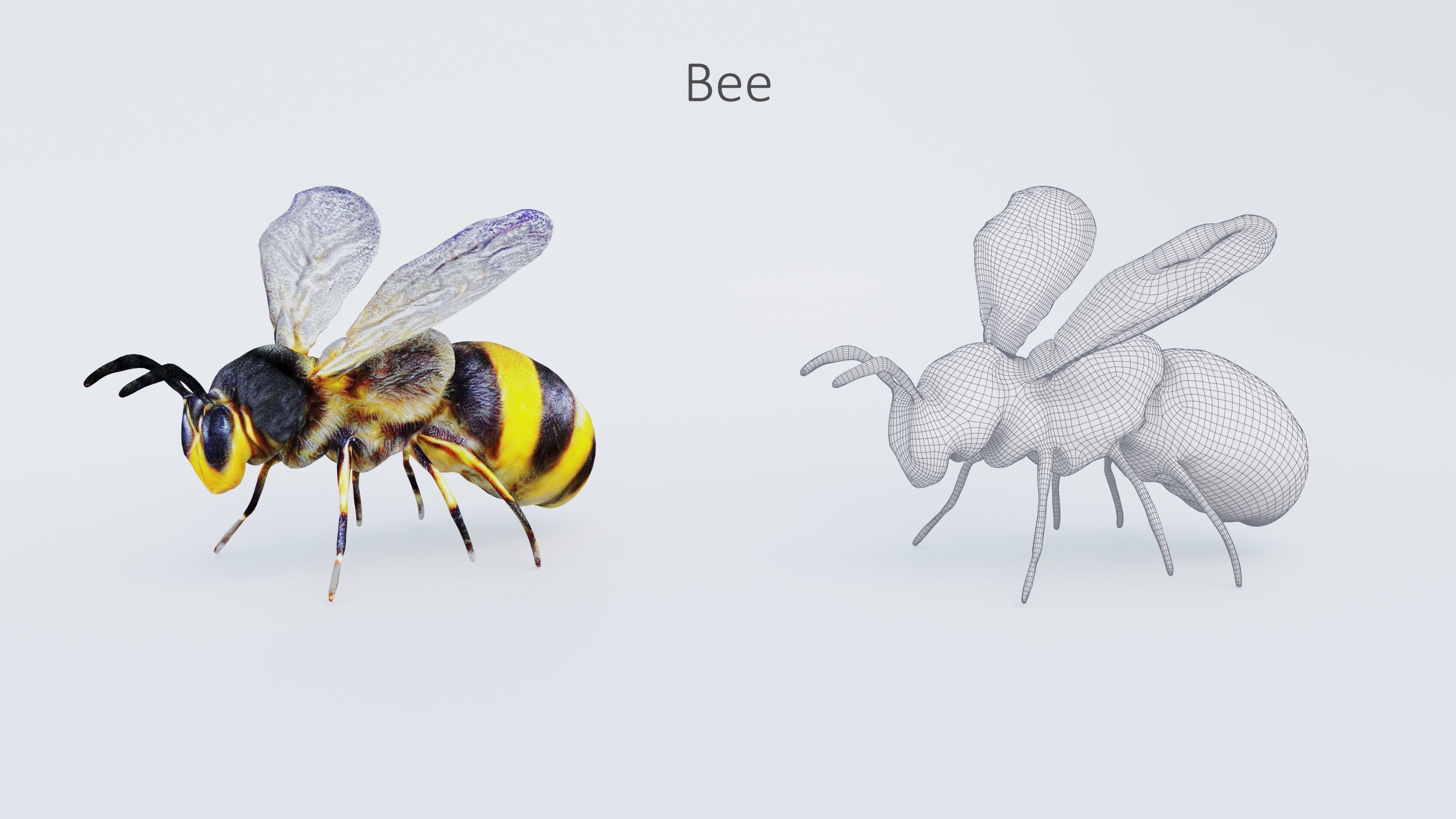 102 Animals Ultimate Collection 3D model_103