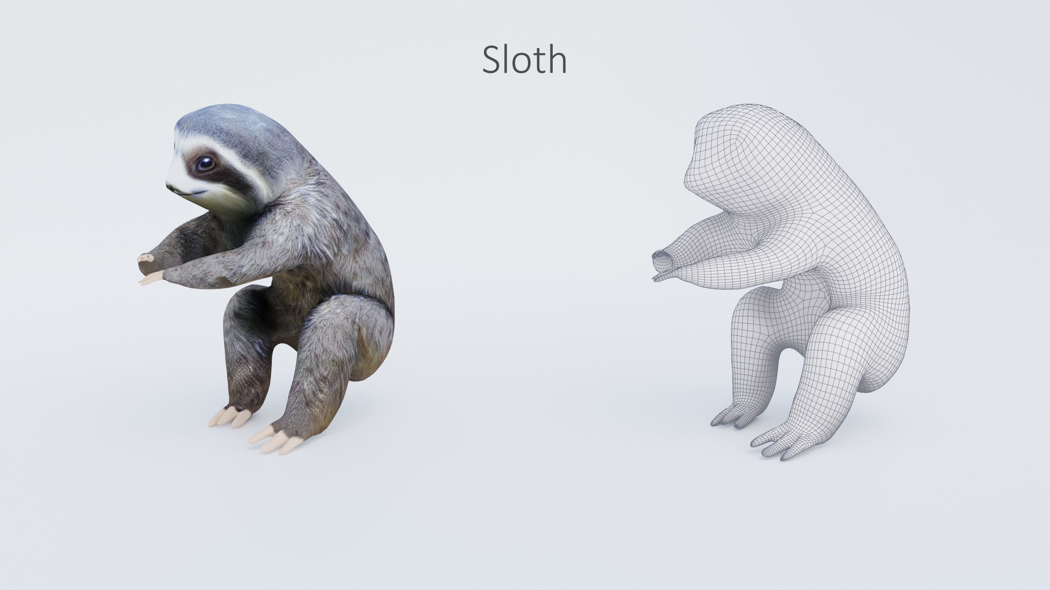 102 Animals Ultimate Collection 3D model_44