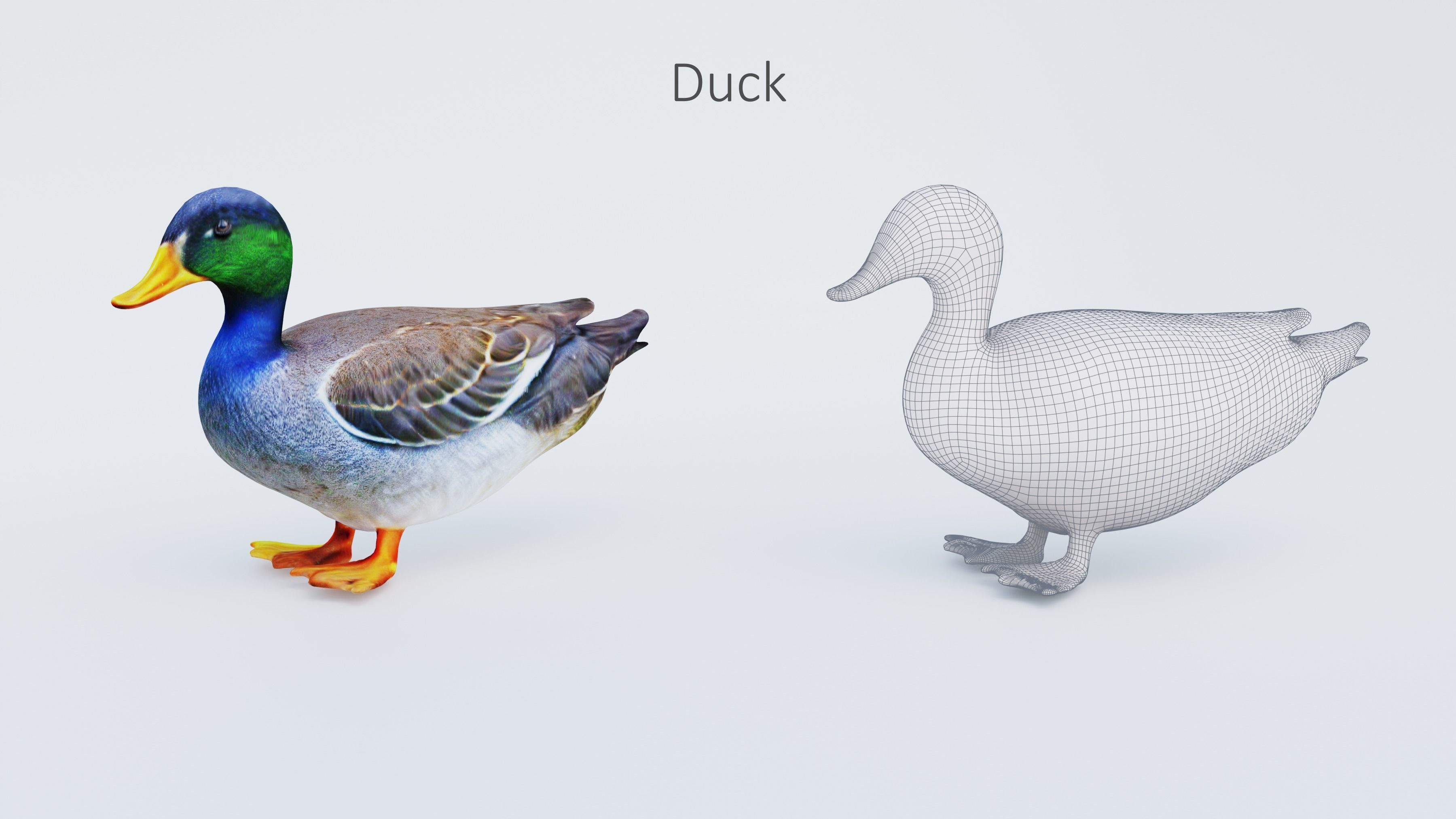 102 Animals Ultimate Collection 3D model_94