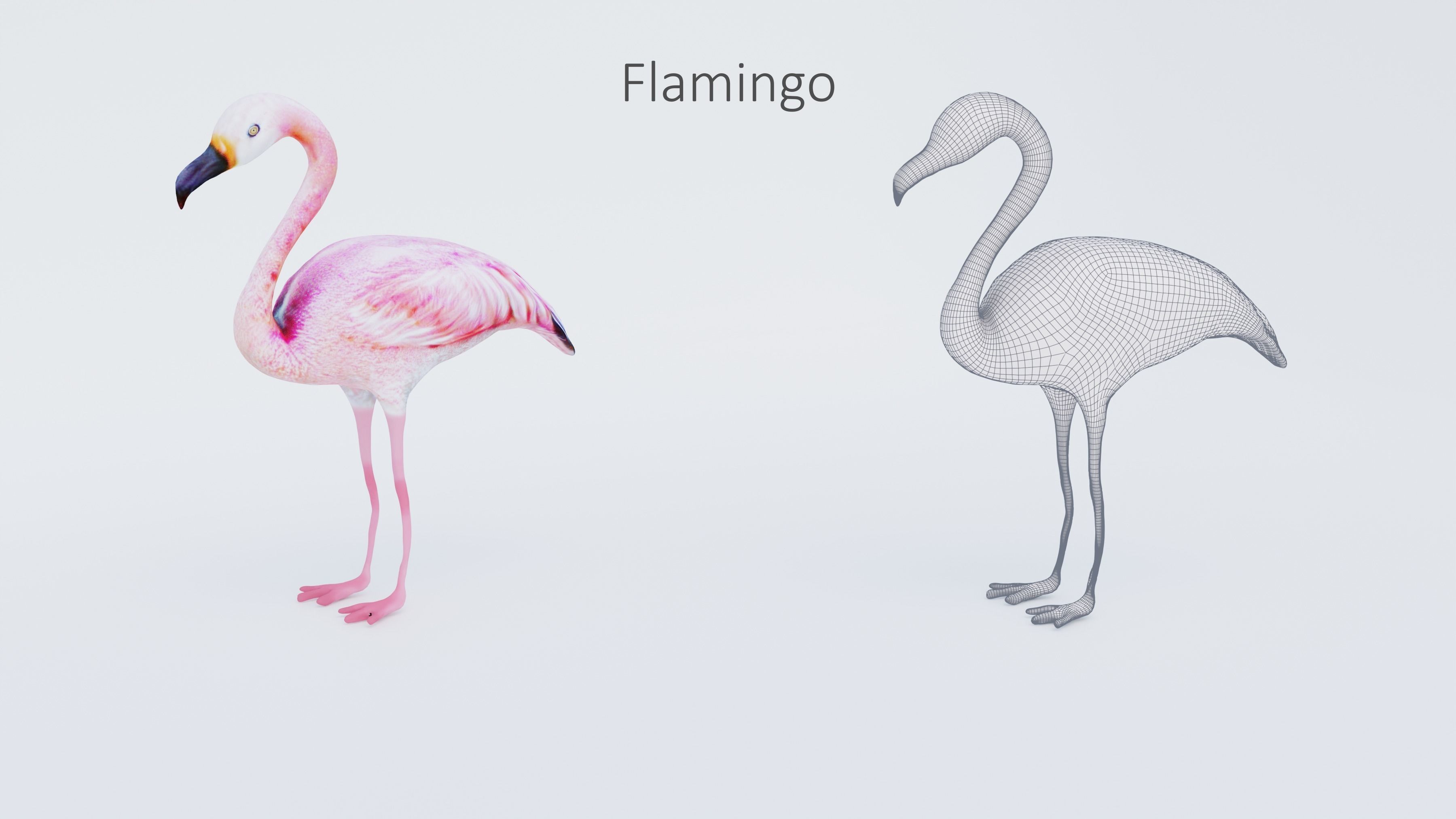 102 Animals Ultimate Collection 3D model_81