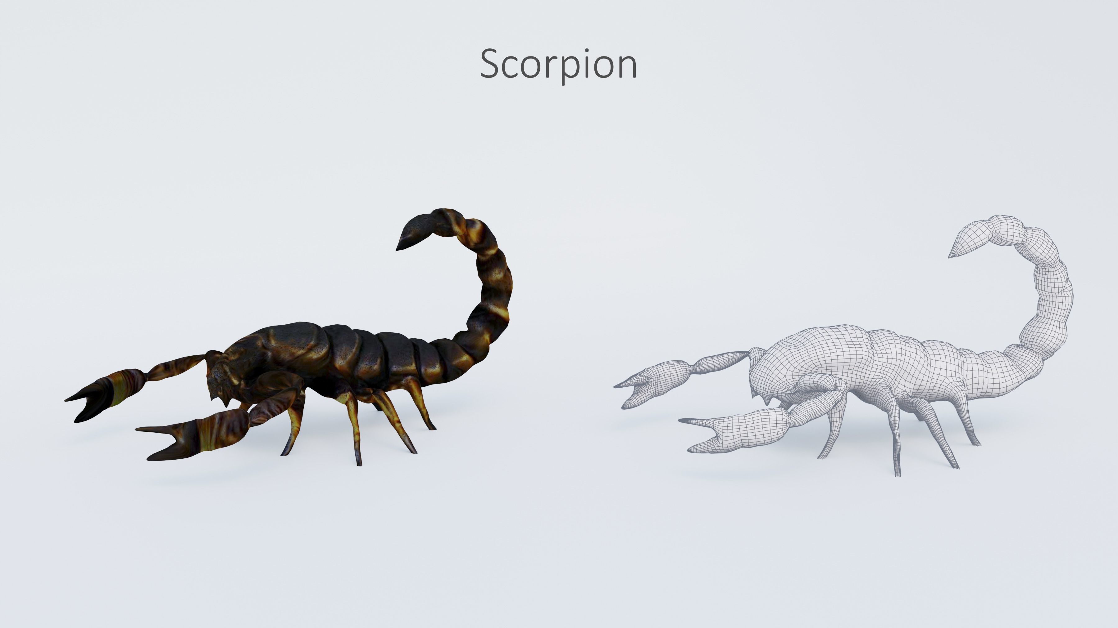 102 Animals Ultimate Collection 3D model_106