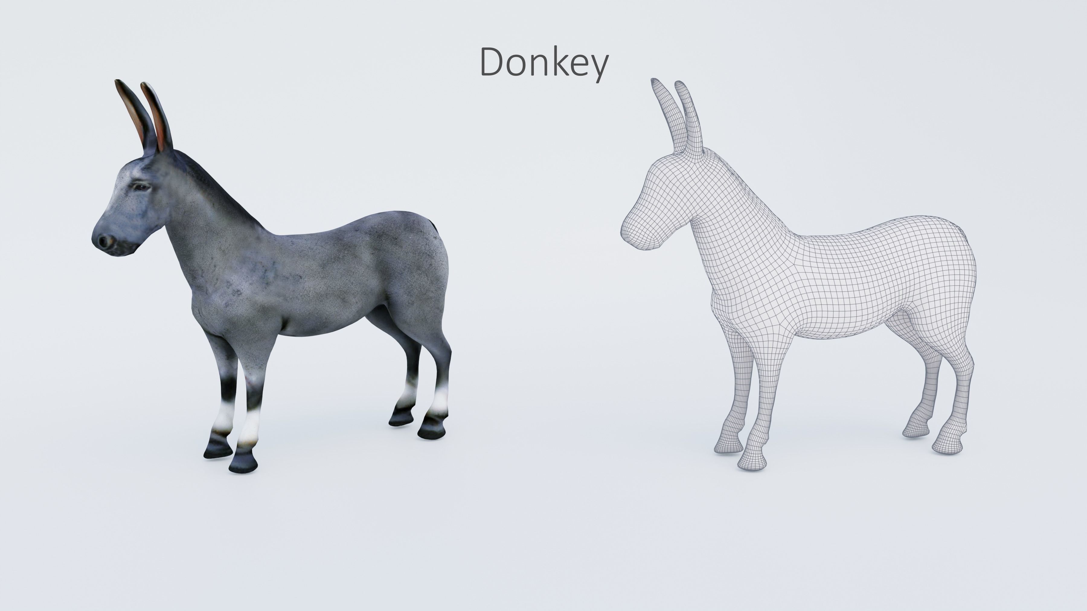 102 Animals Ultimate Collection 3D model_10