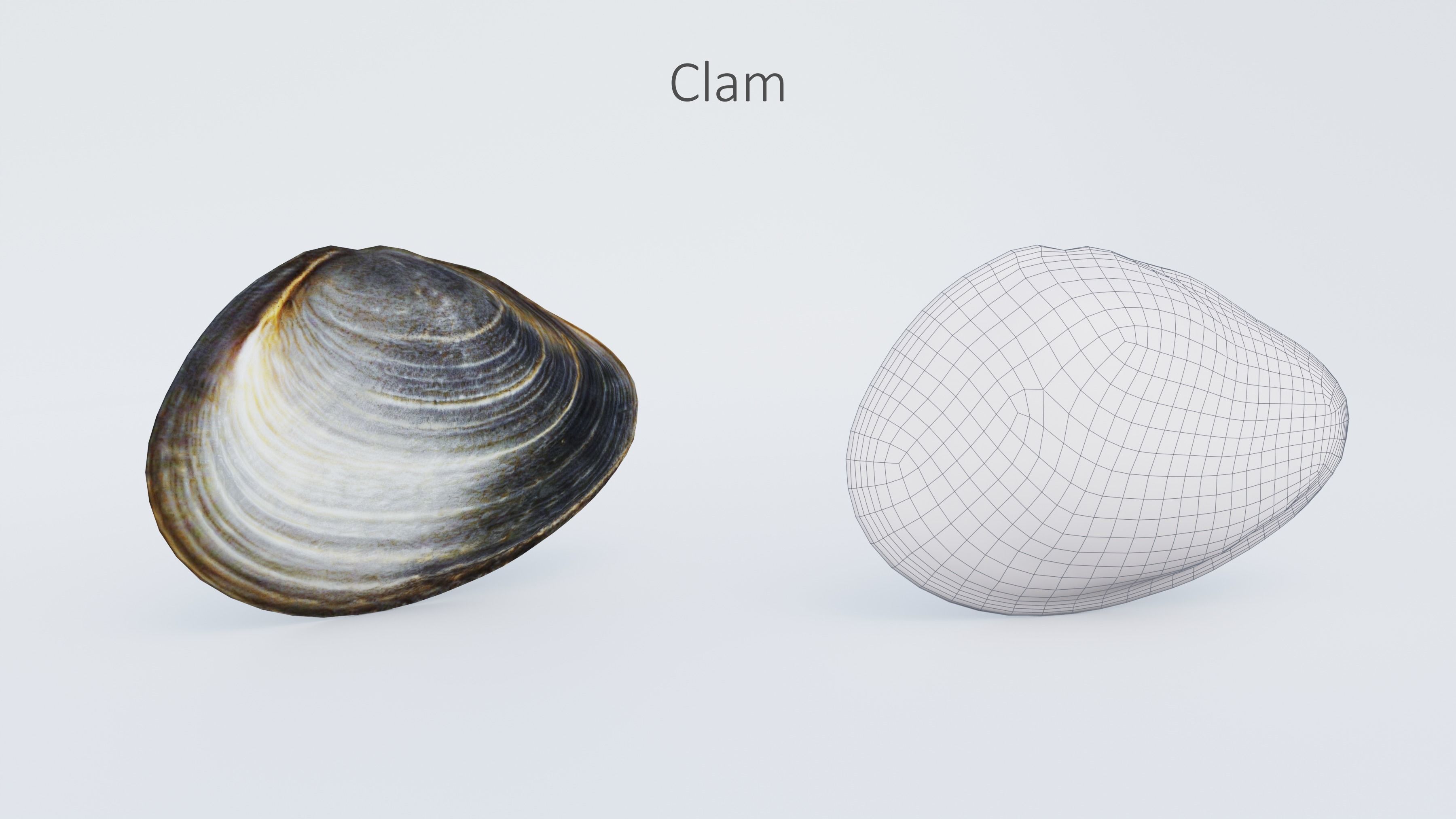 102 Animals Ultimate Collection 3D model_60