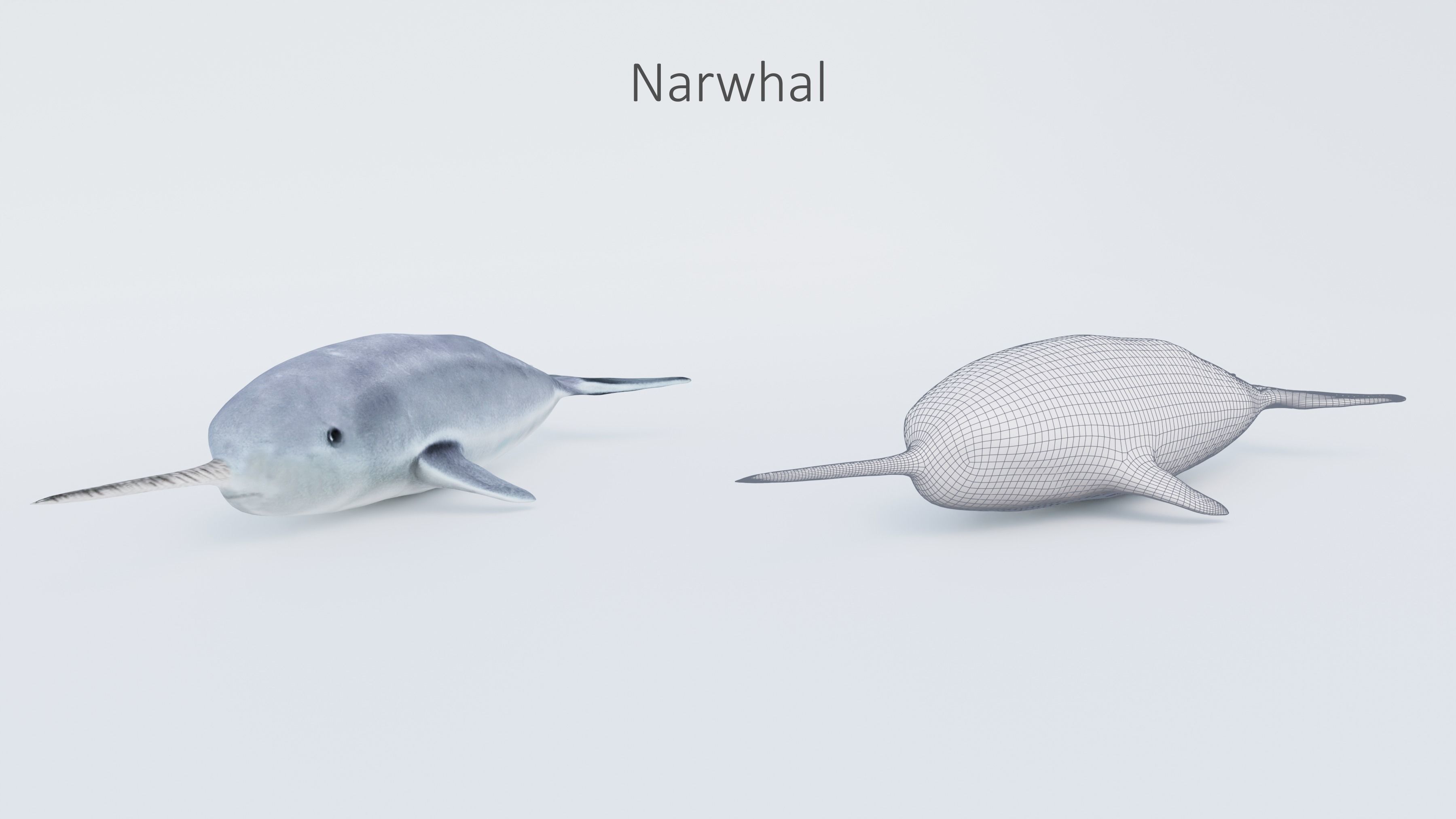 102 Animals Ultimate Collection 3D model_66