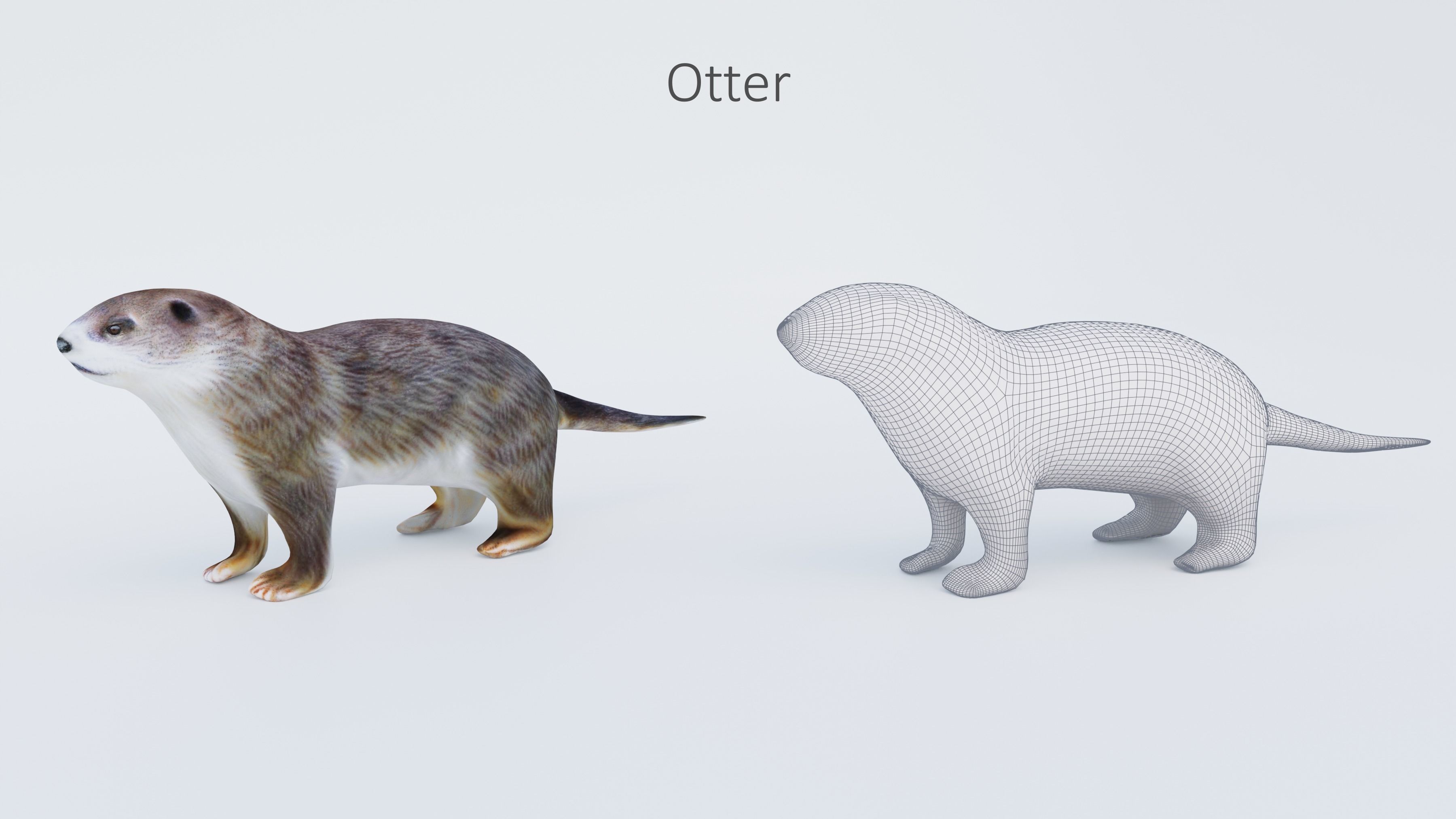 102 Animals Ultimate Collection 3D model_69