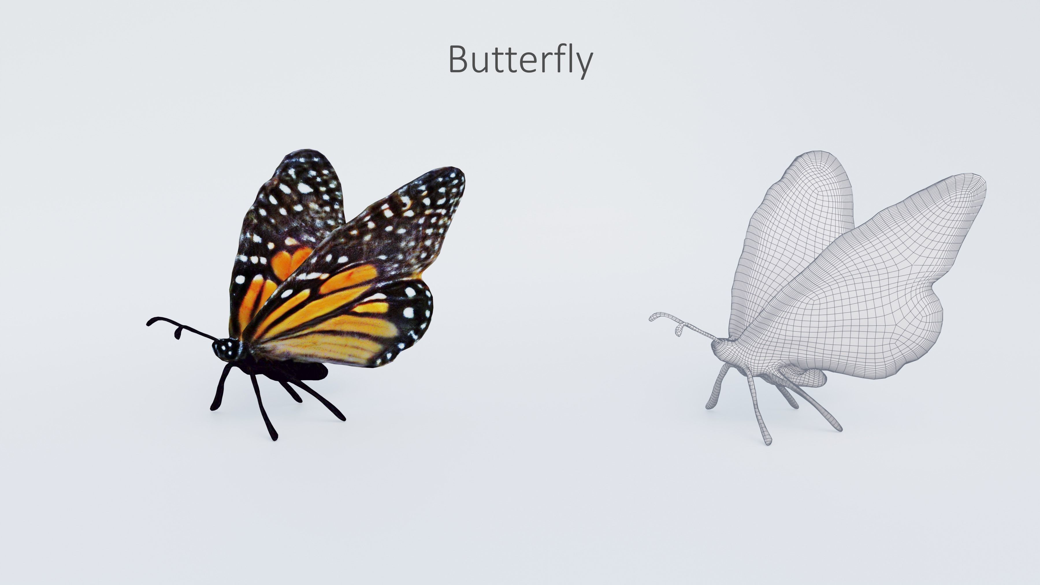 102 Animals Ultimate Collection 3D model_104