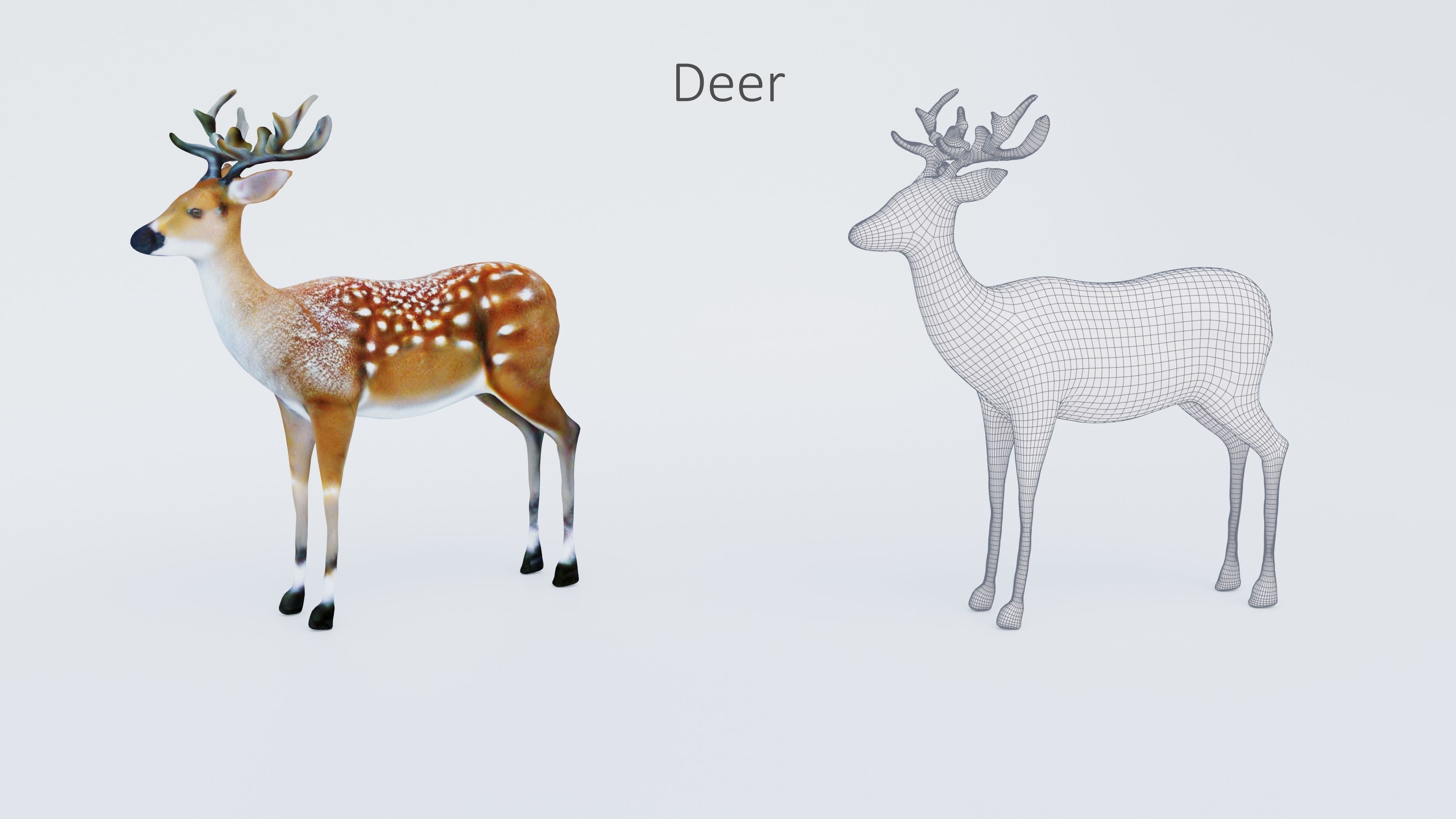 102 Animals Ultimate Collection 3D model_46