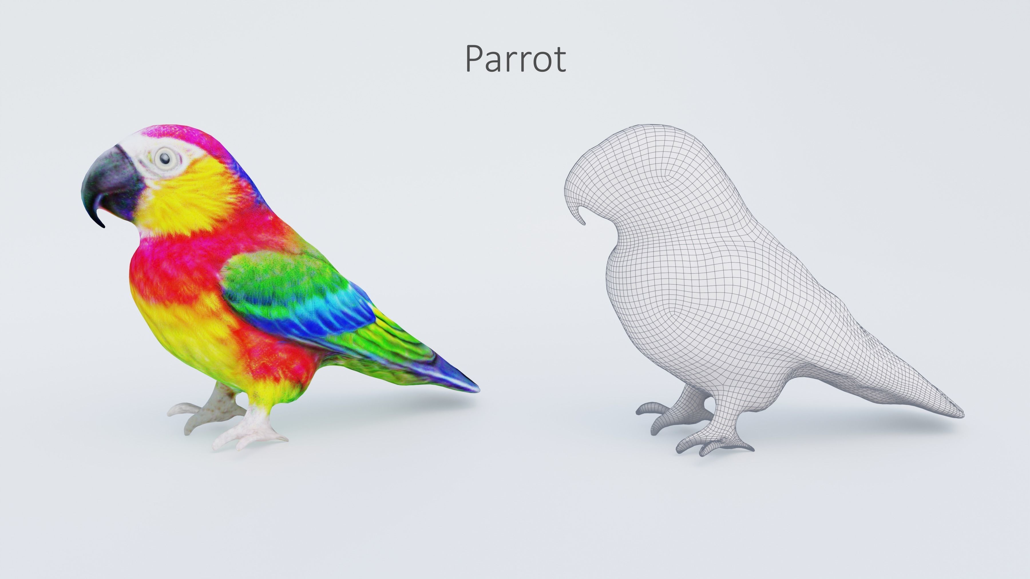 102 Animals Ultimate Collection 3D model_85