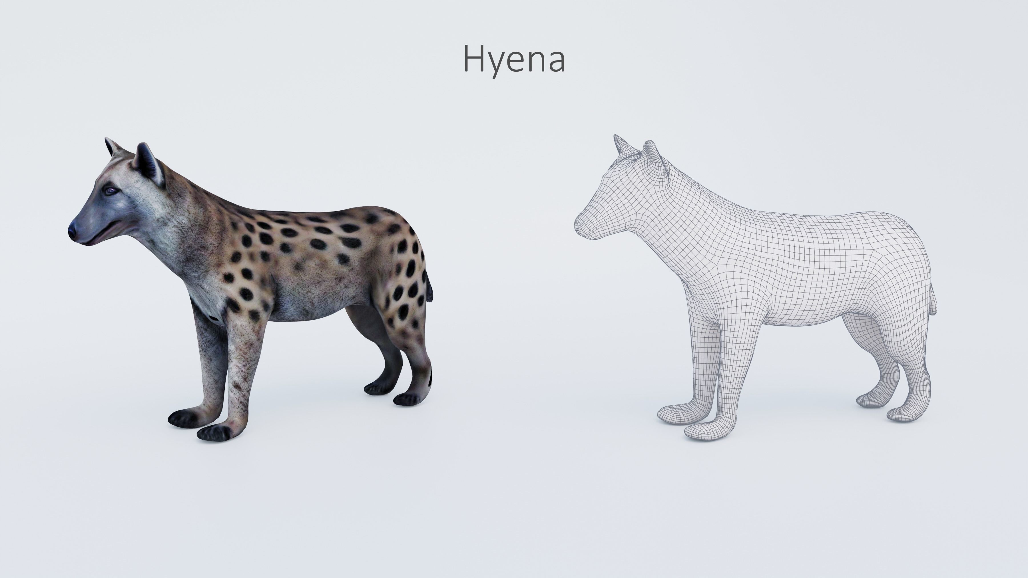 102 Animals Ultimate Collection 3D model_32