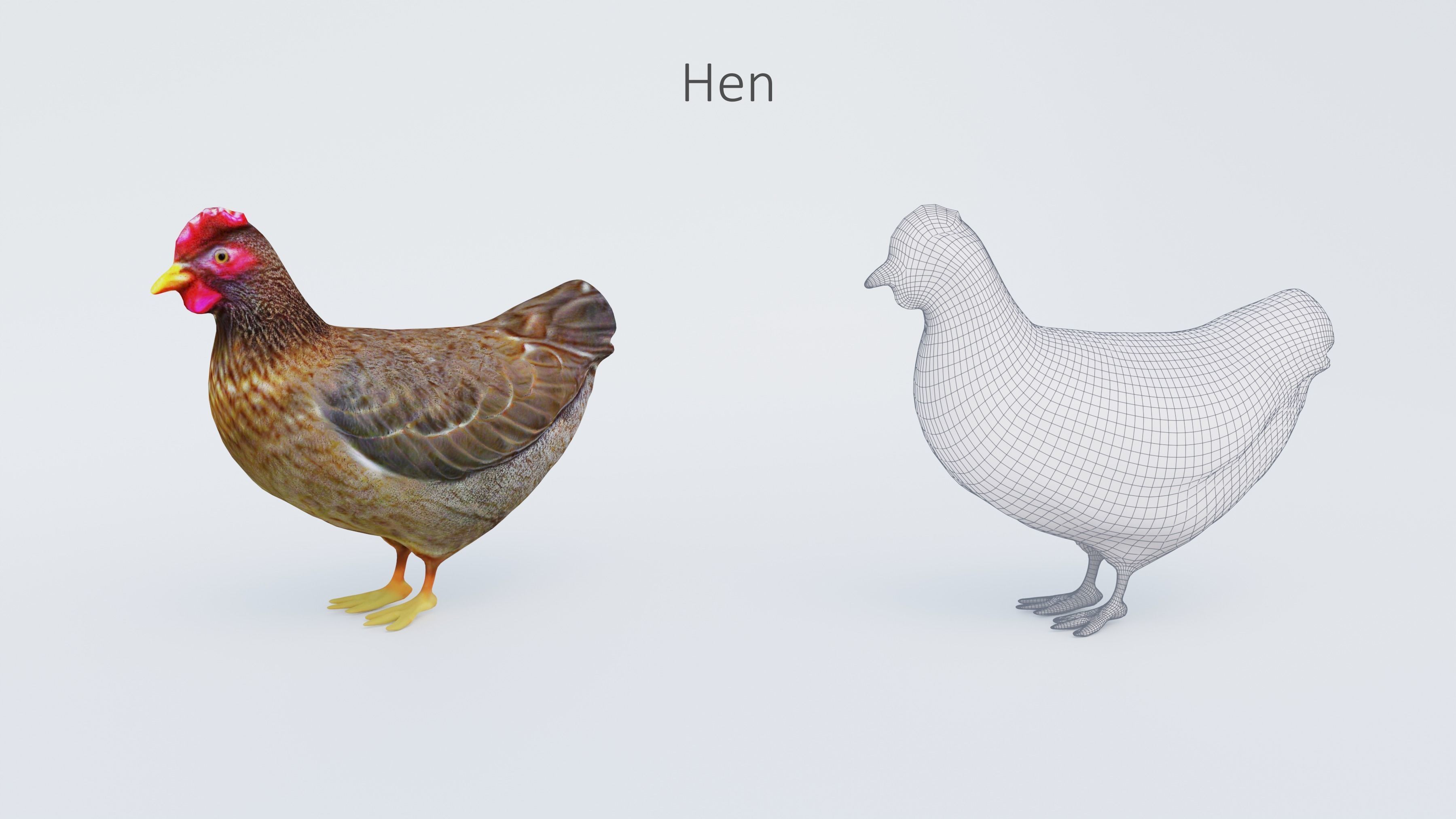 102 Animals Ultimate Collection 3D model_13