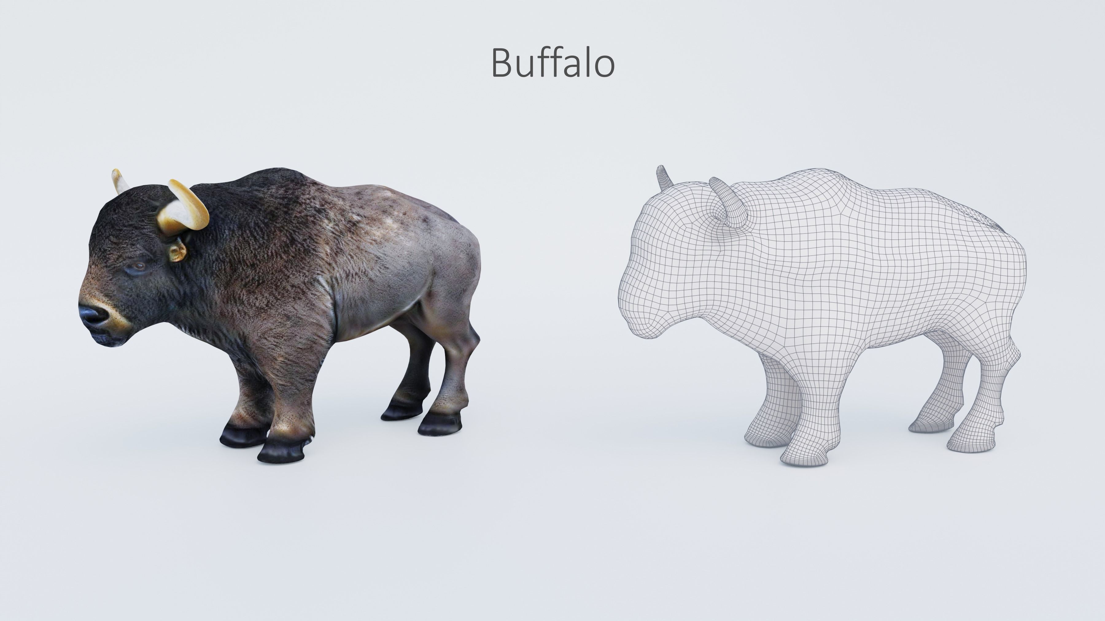 102 Animals Ultimate Collection 3D model_34