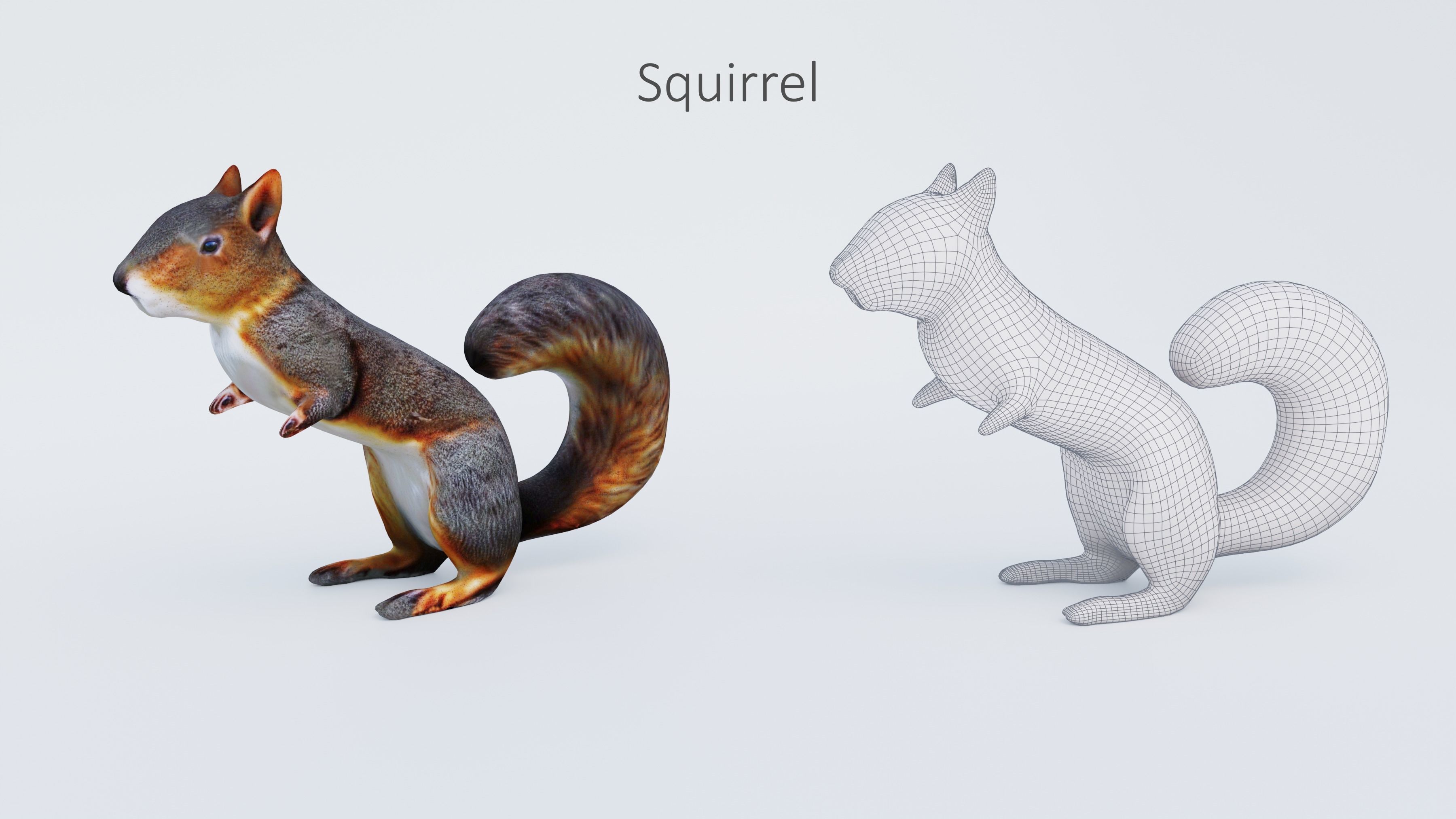 102 Animals Ultimate Collection 3D model_21