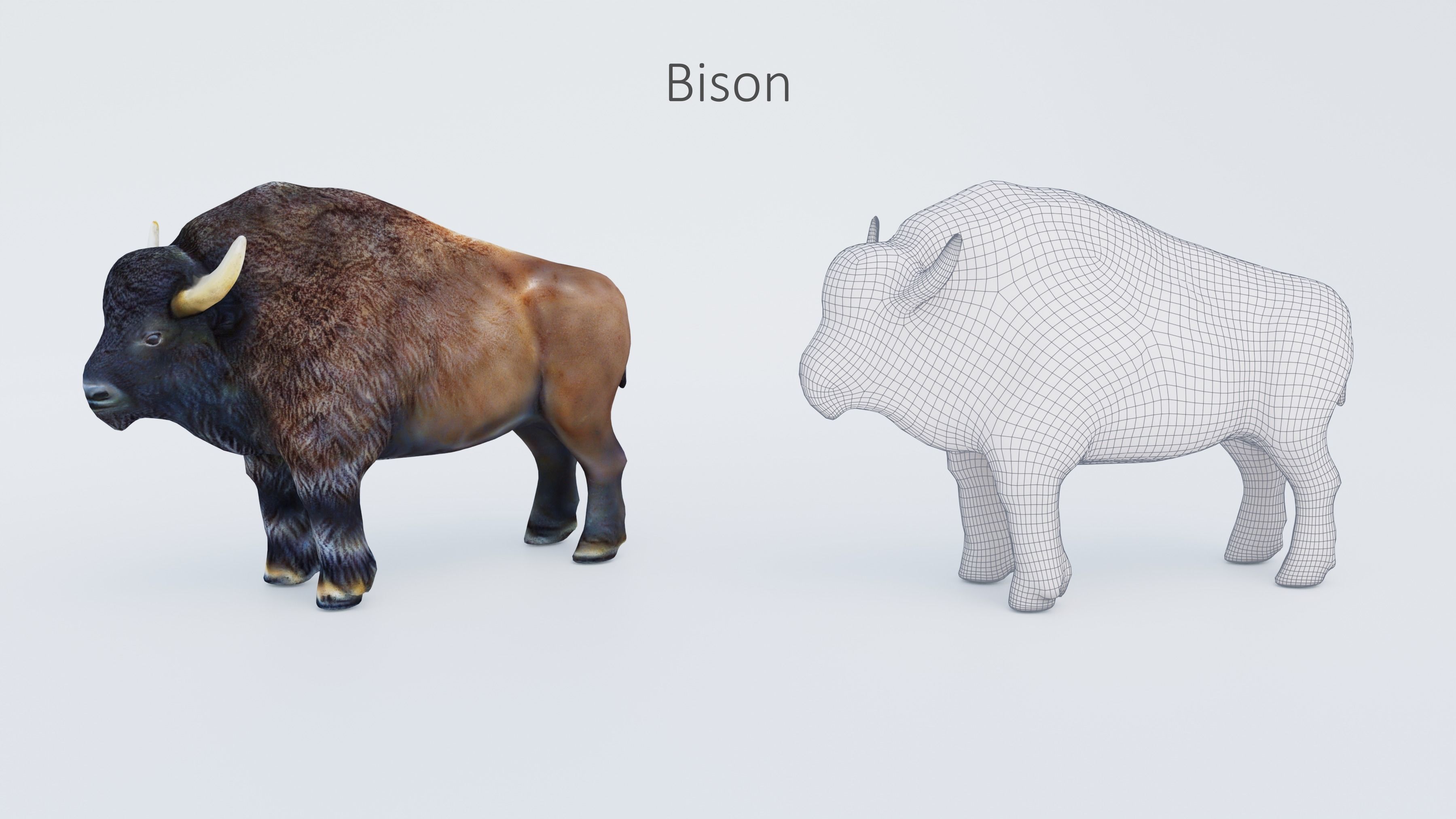 102 Animals Ultimate Collection 3D model_23