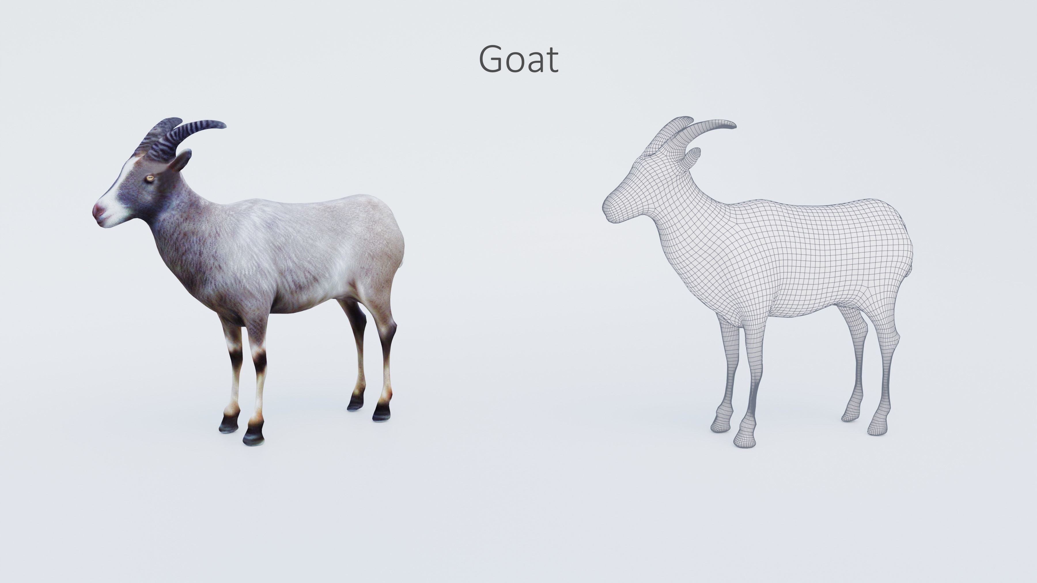 102 Animals Ultimate Collection 3D model_11