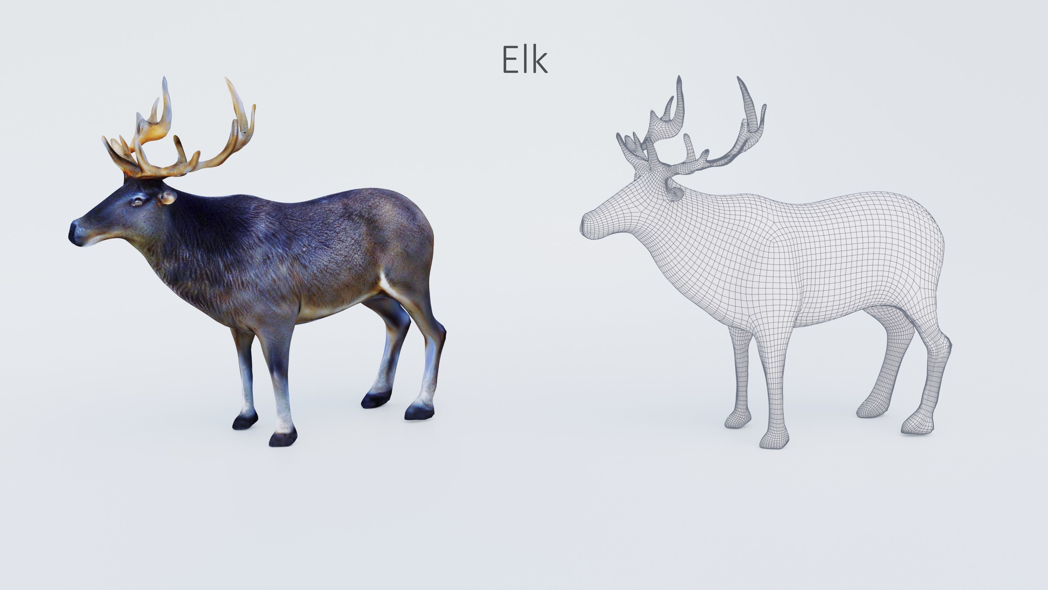 102 Animals Ultimate Collection 3D model_47