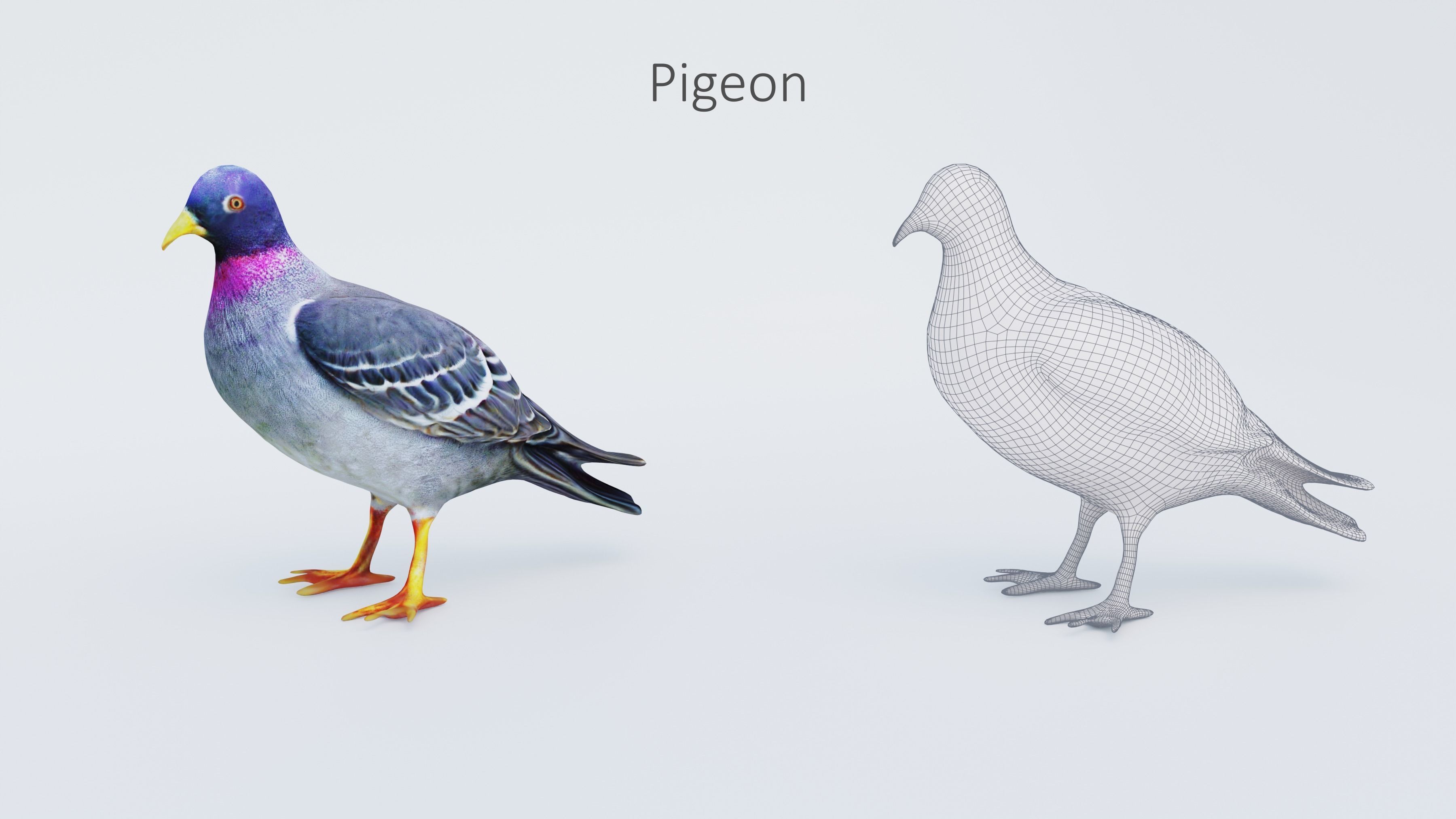 102 Animals Ultimate Collection 3D model_89