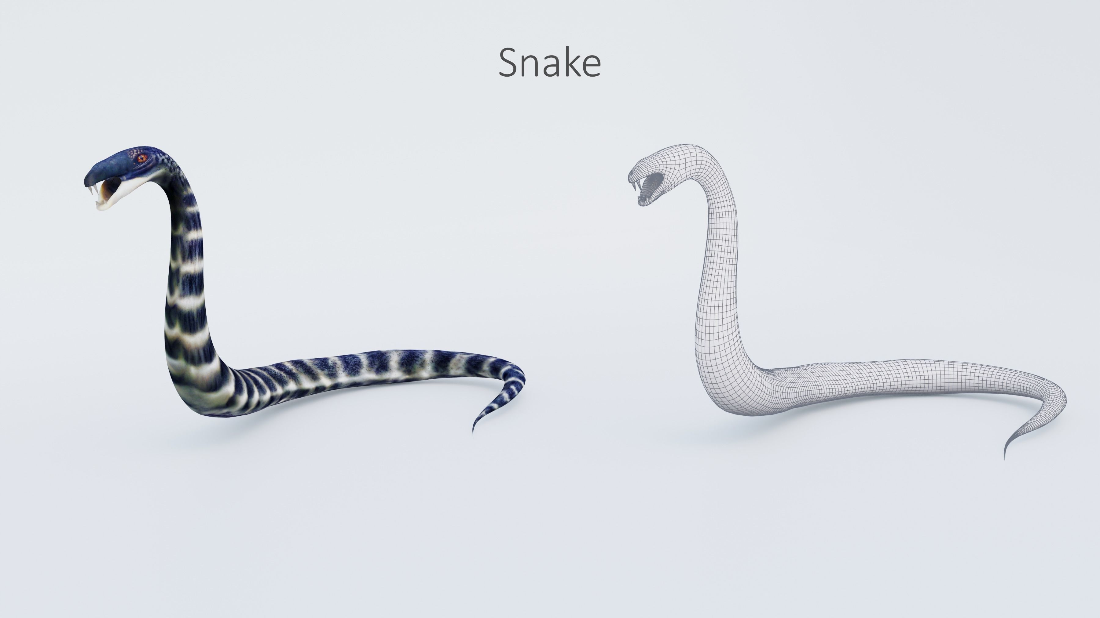 102 Animals Ultimate Collection 3D model_100