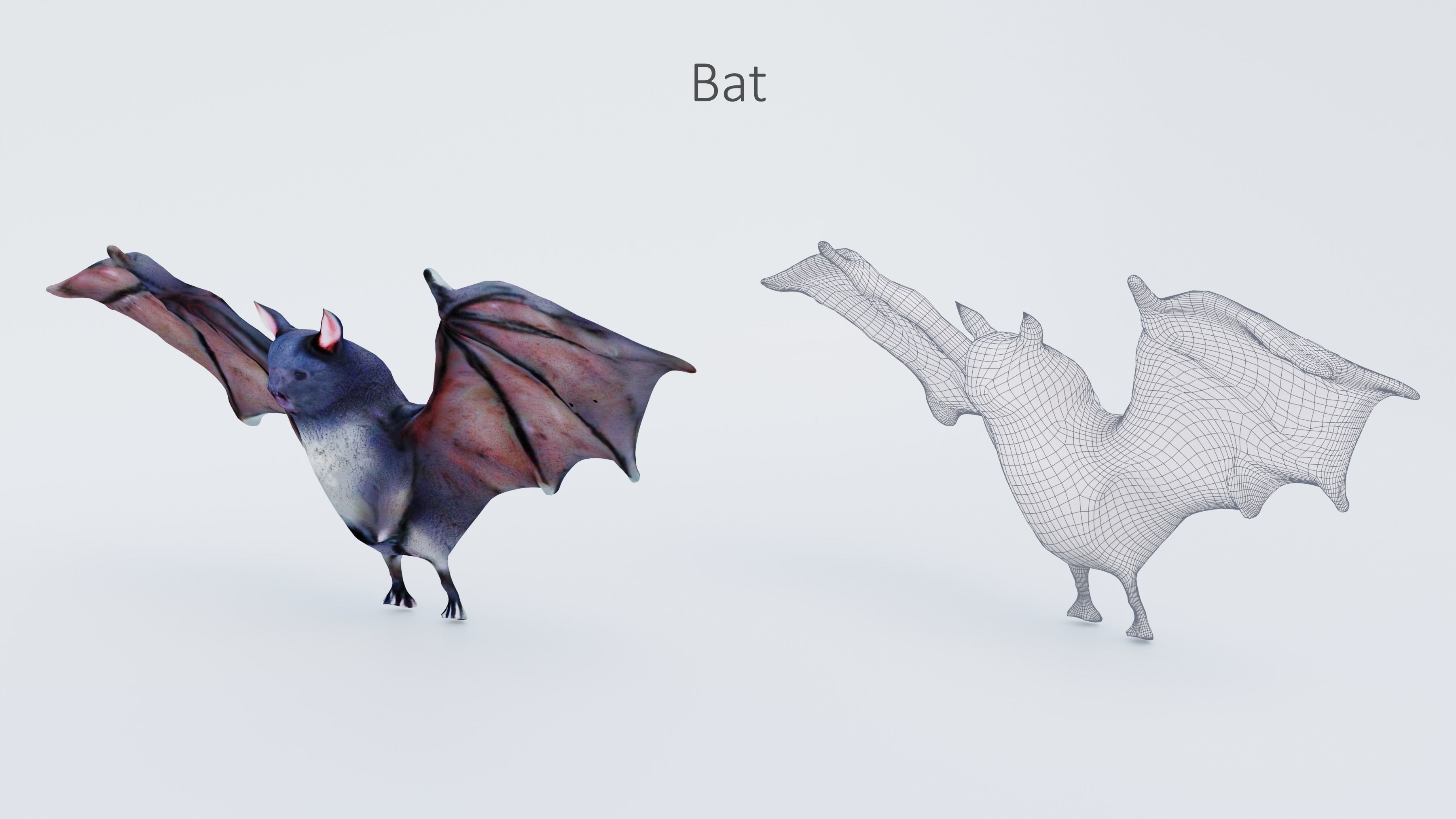 102 Animals Ultimate Collection 3D model_92