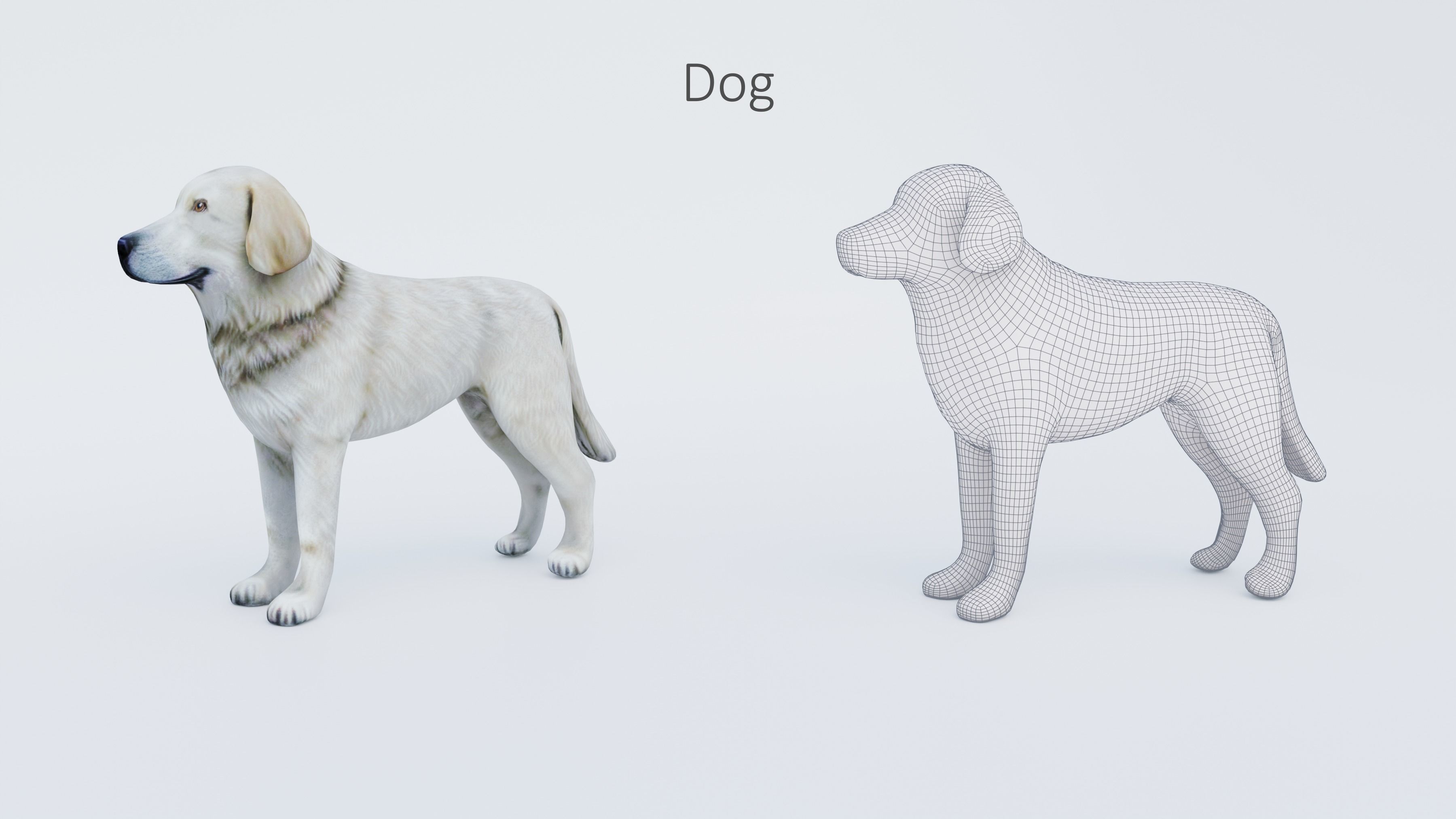 102 Animals Ultimate Collection 3D model_9