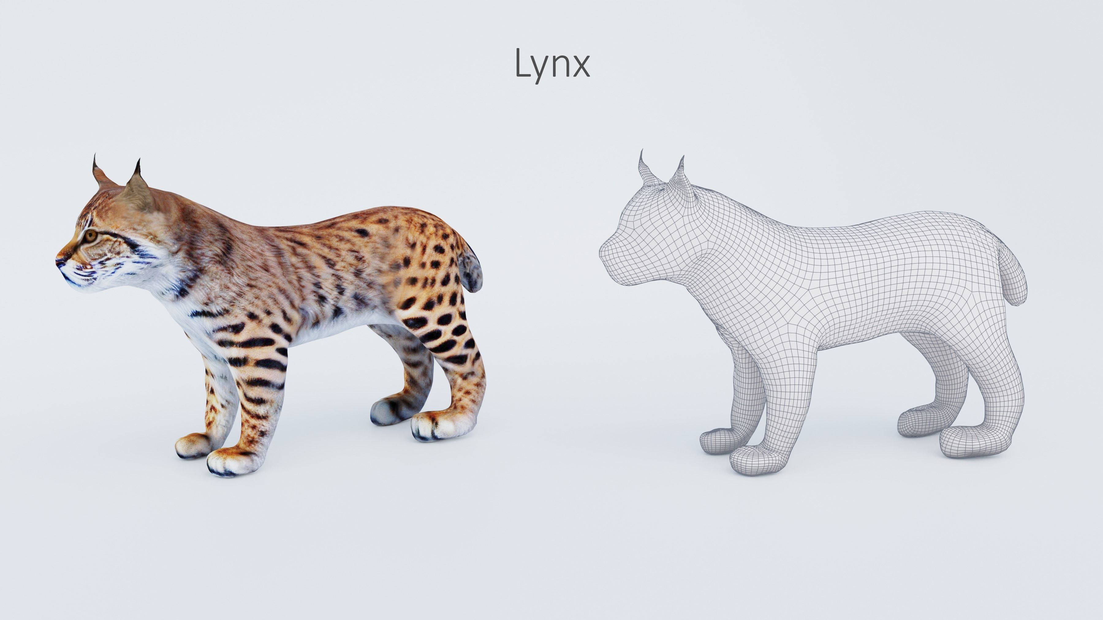 102 Animals Ultimate Collection 3D model_50