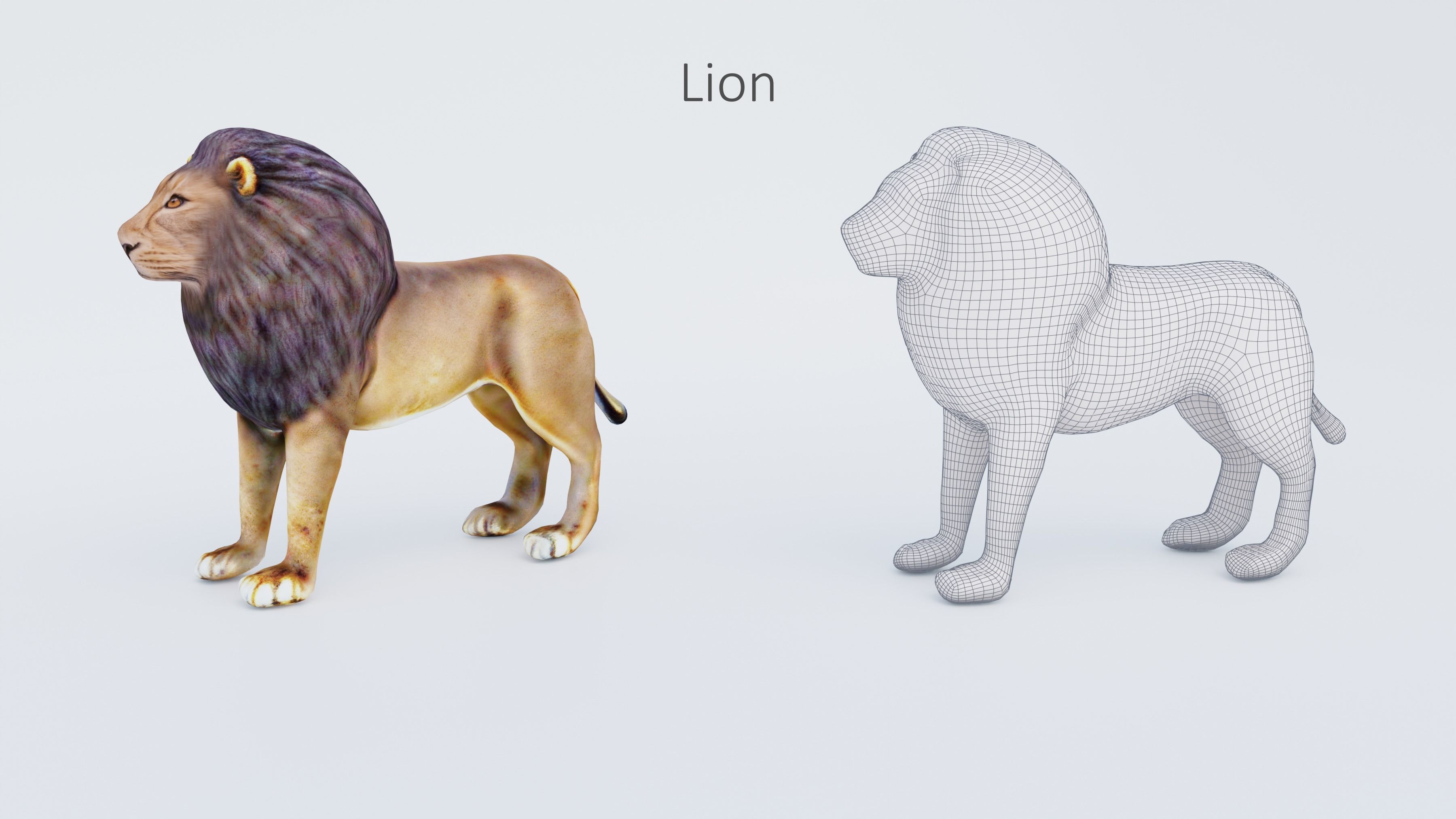 102 Animals Ultimate Collection 3D model_28