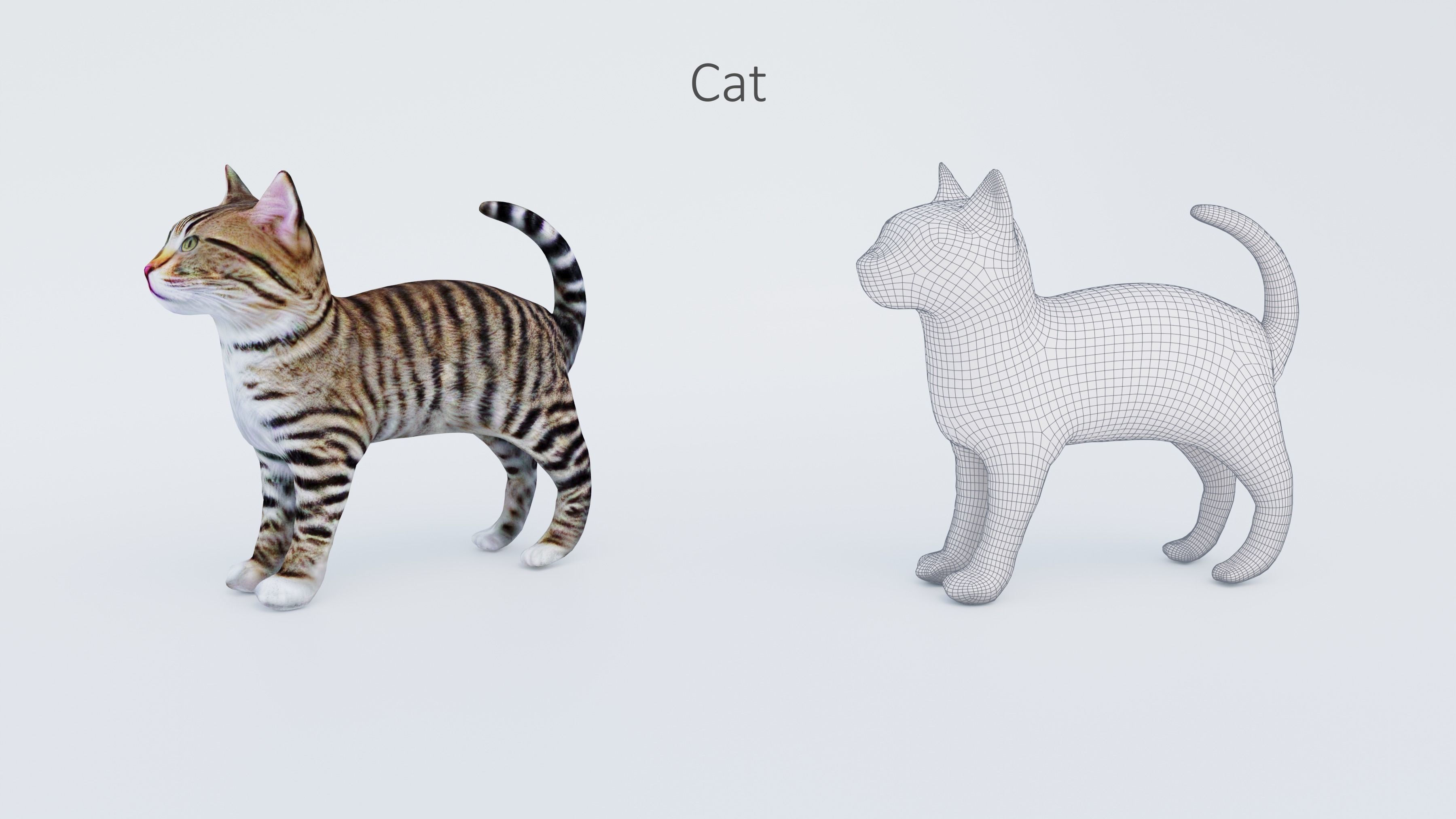 102 Animals Ultimate Collection 3D model_6