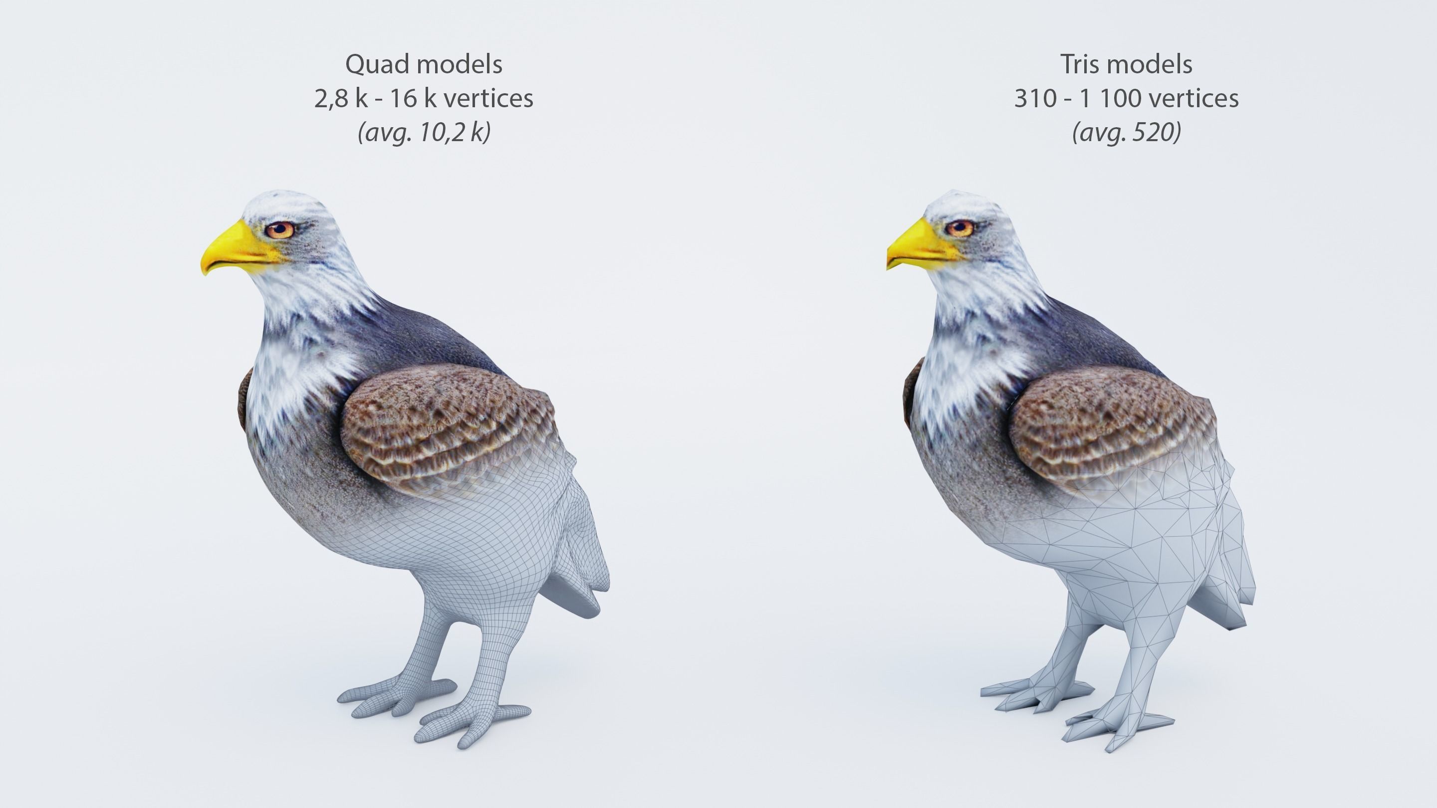 102 Animals Ultimate Collection 3D model_3