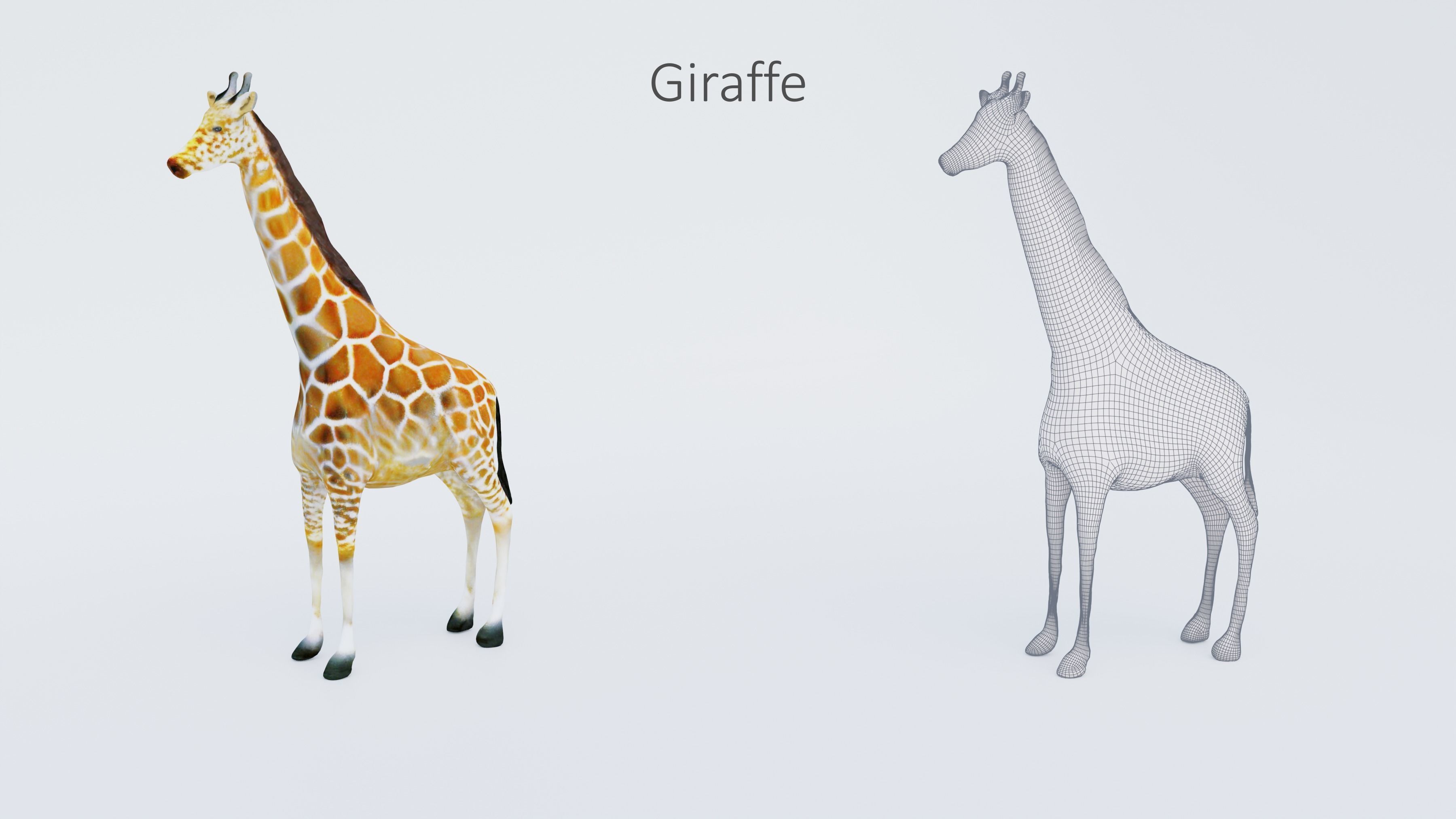 102 Animals Ultimate Collection 3D model_27