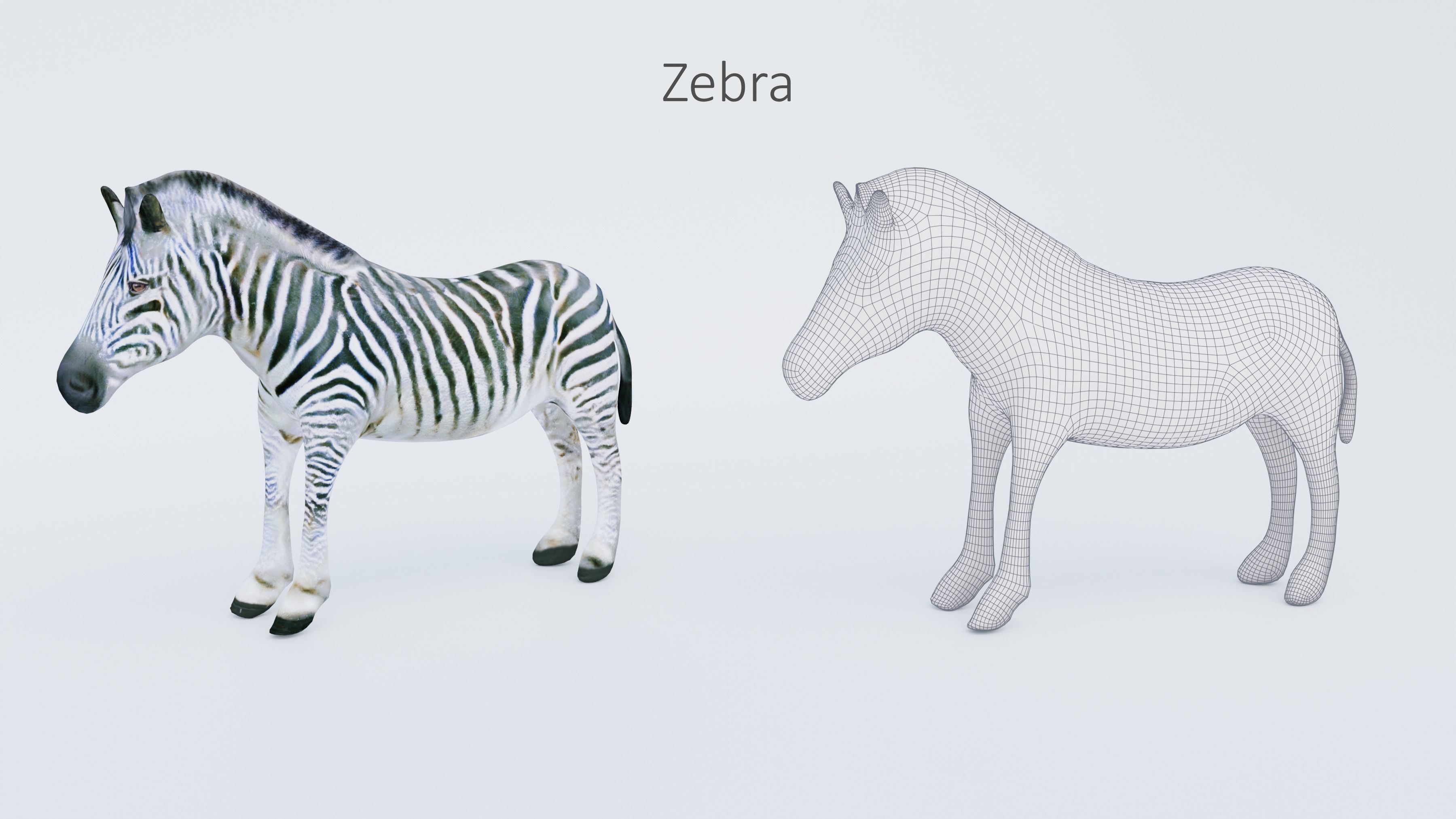 102 Animals Ultimate Collection 3D model_29