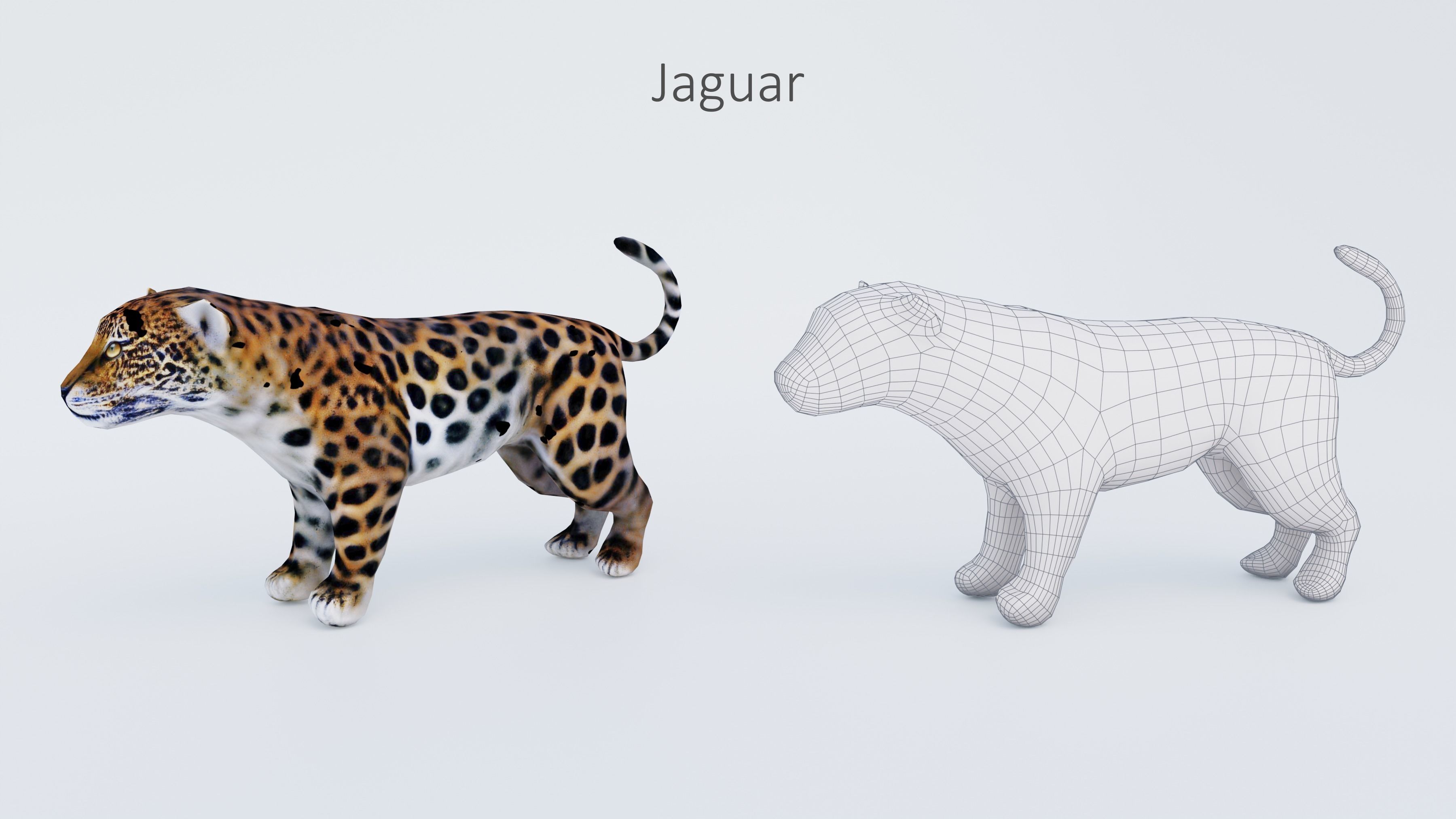 102 Animals Ultimate Collection 3D model_38