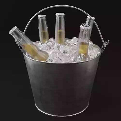 Beer Bottles in Ice Bucket