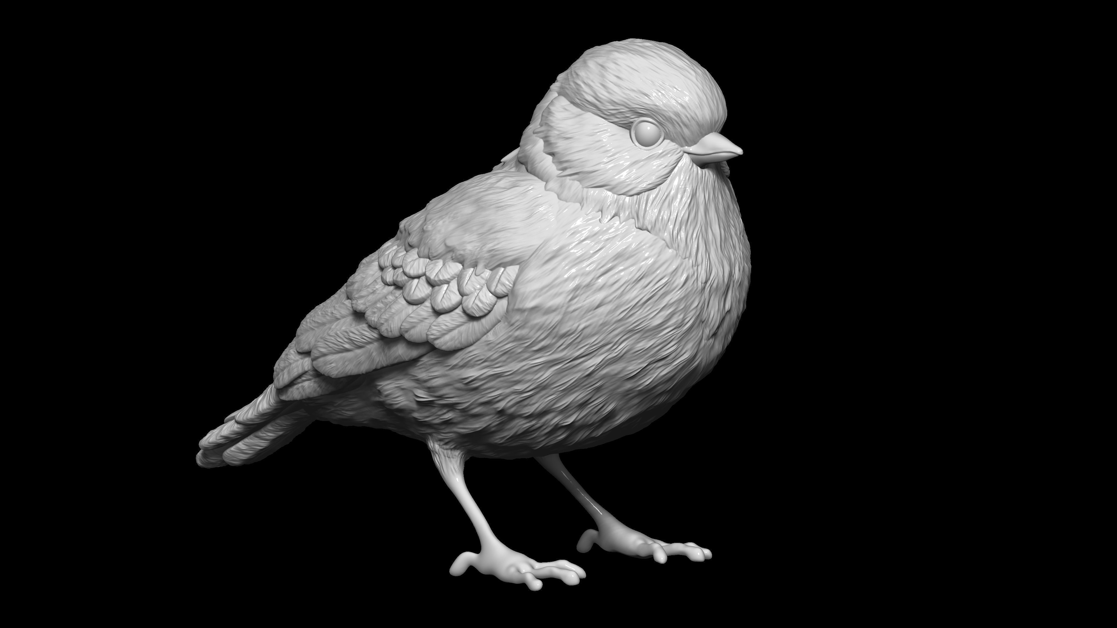 HighPoly Bird 3D print model_9