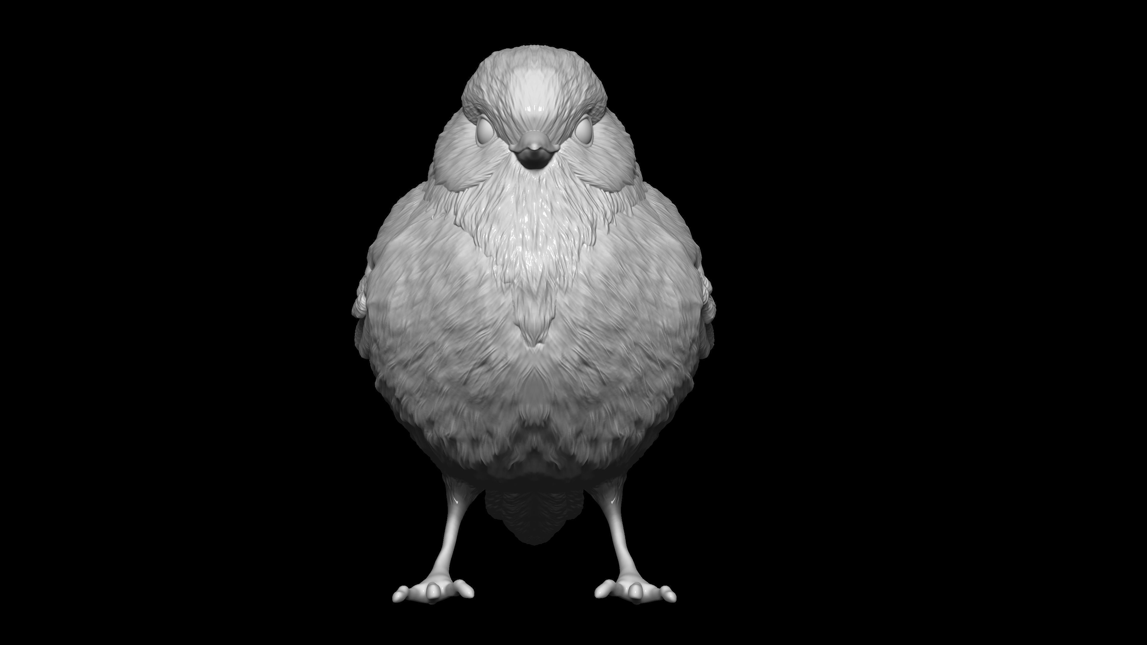 HighPoly Bird 3D print model_6