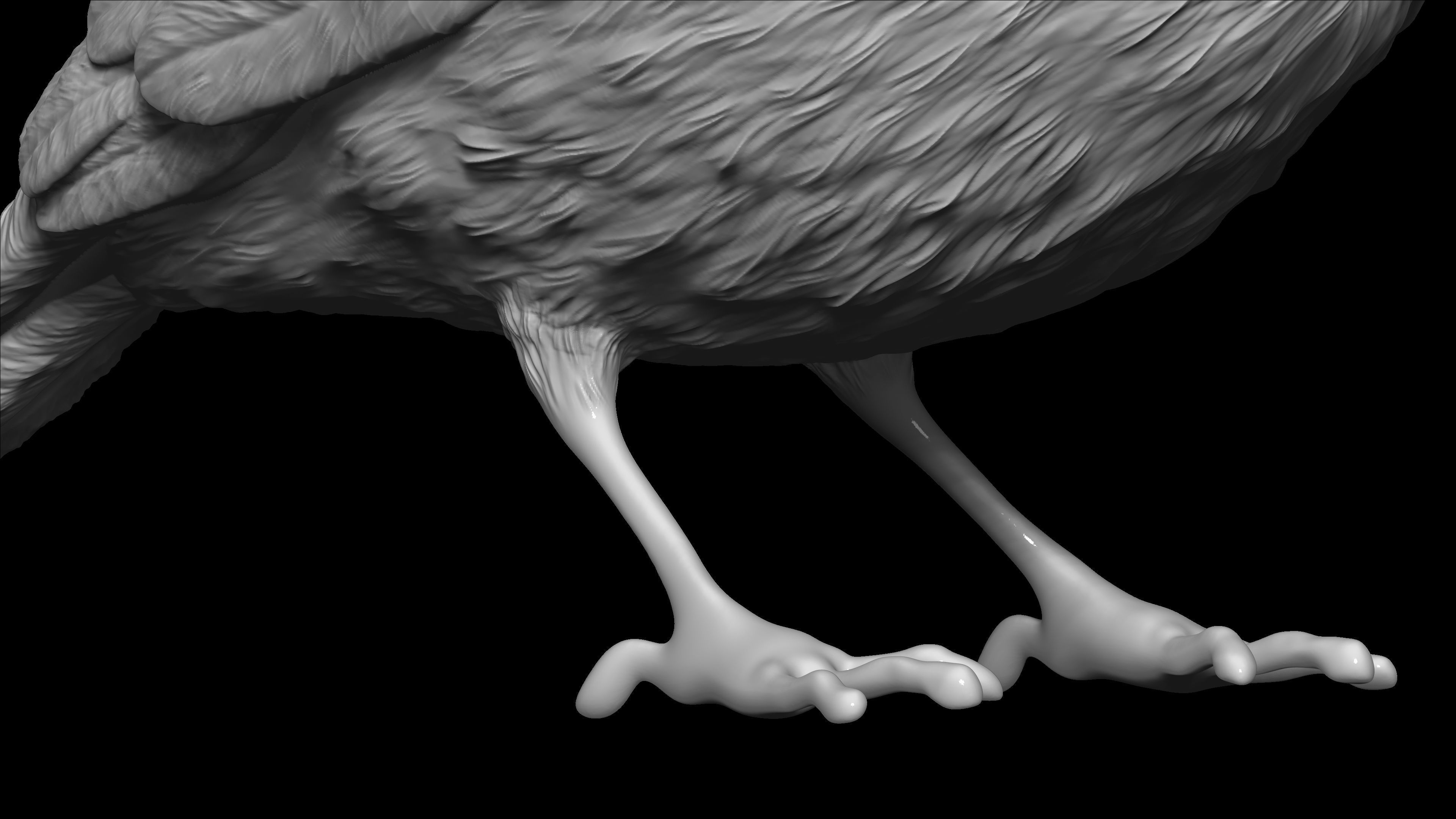 HighPoly Bird 3D print model_3