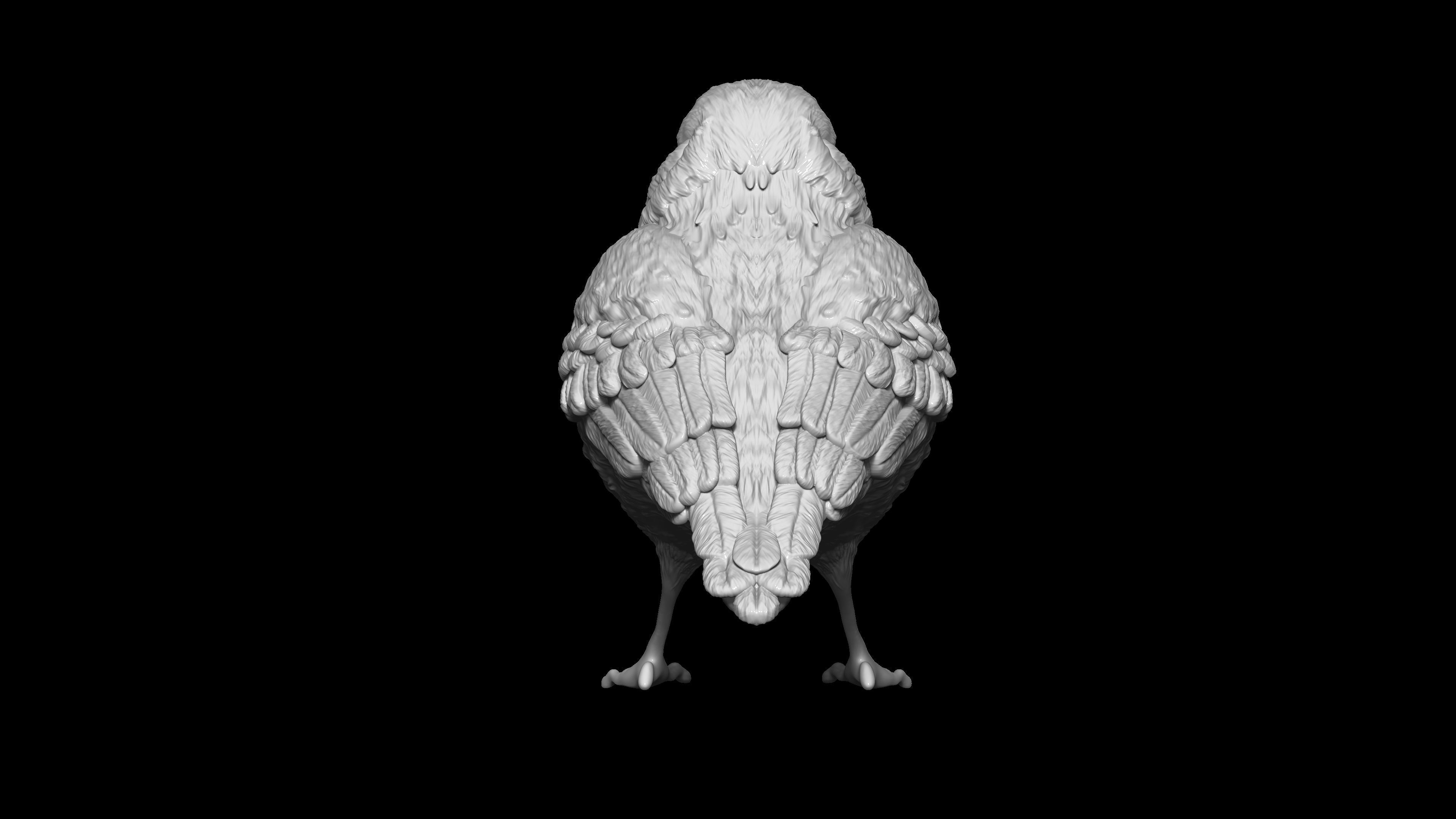 HighPoly Bird 3D print model_5