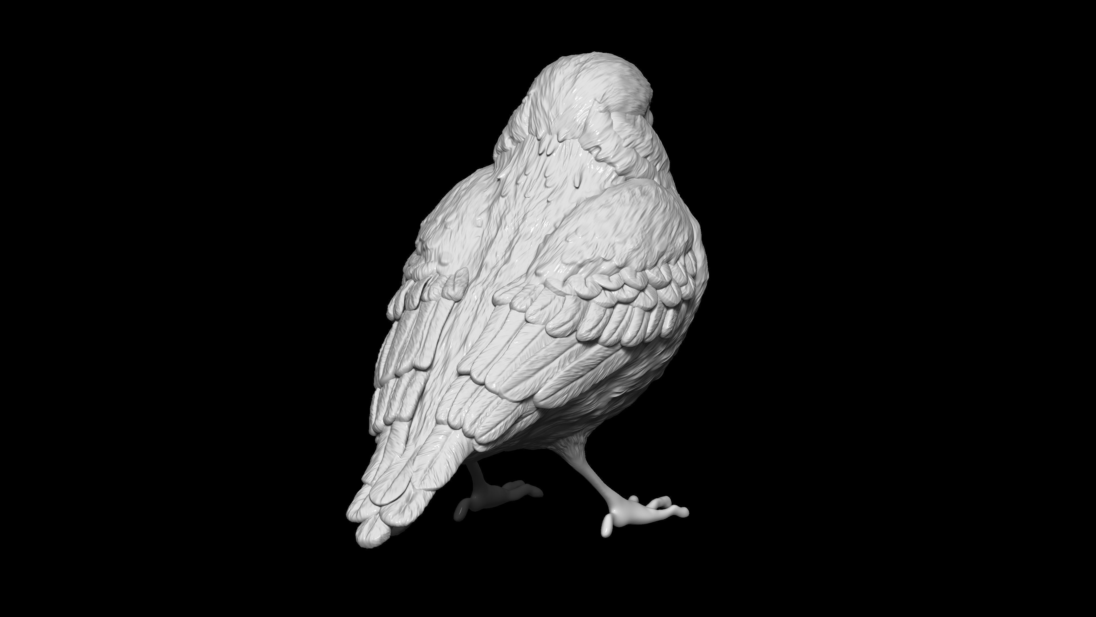 HighPoly Bird 3D print model_4