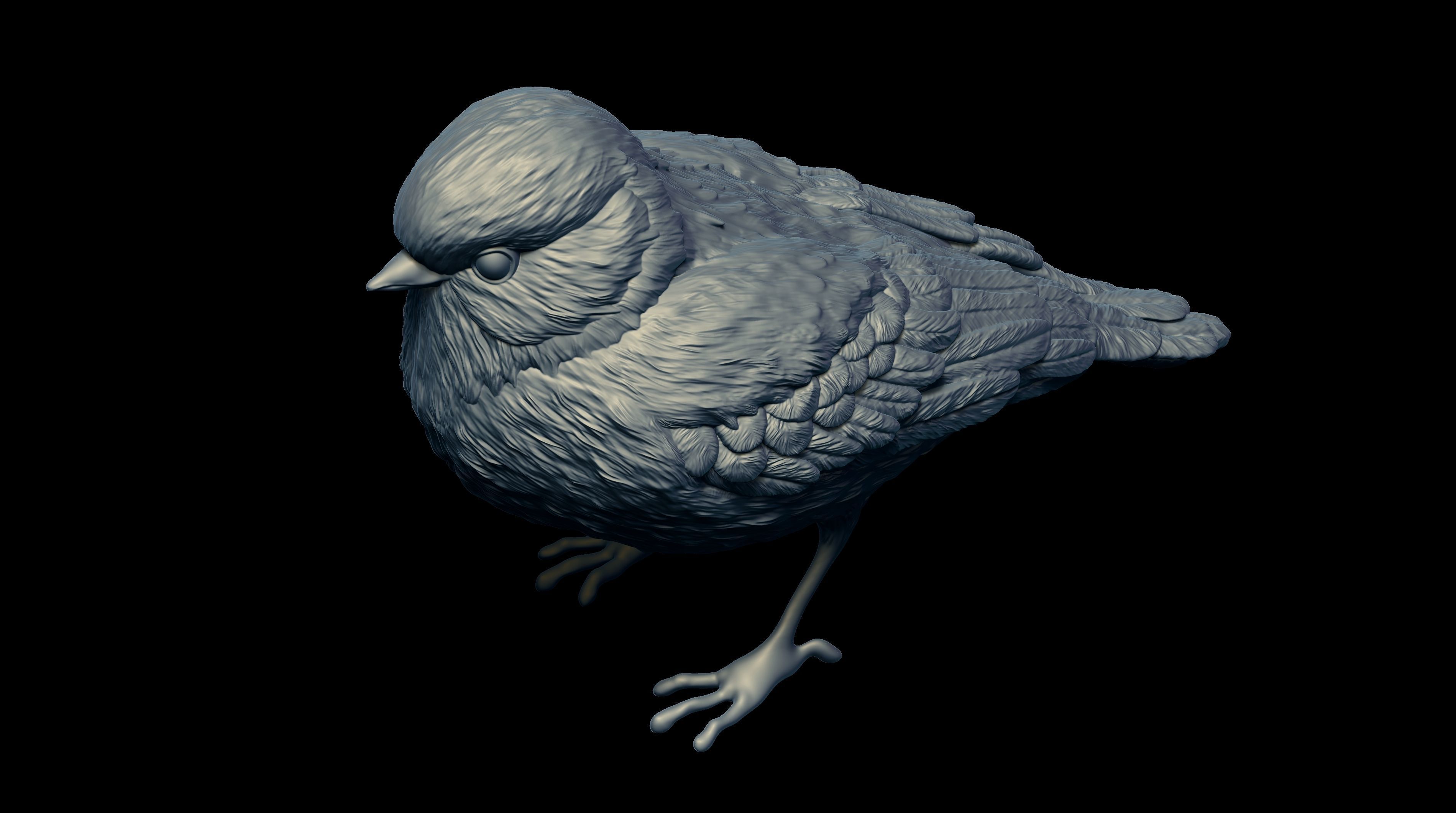 HighPoly Bird 3D print model_12