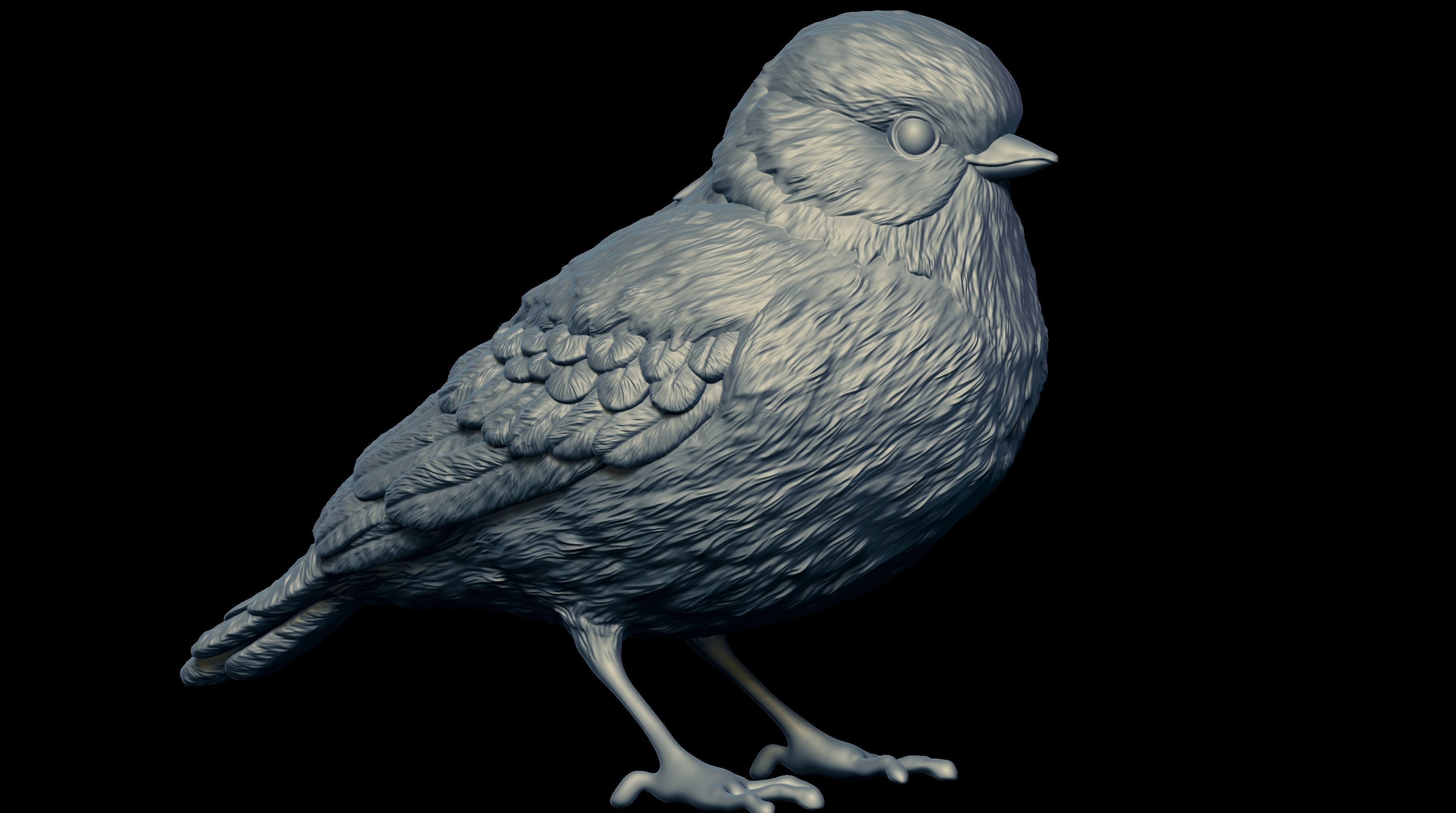 HighPoly Bird 3D print model_10