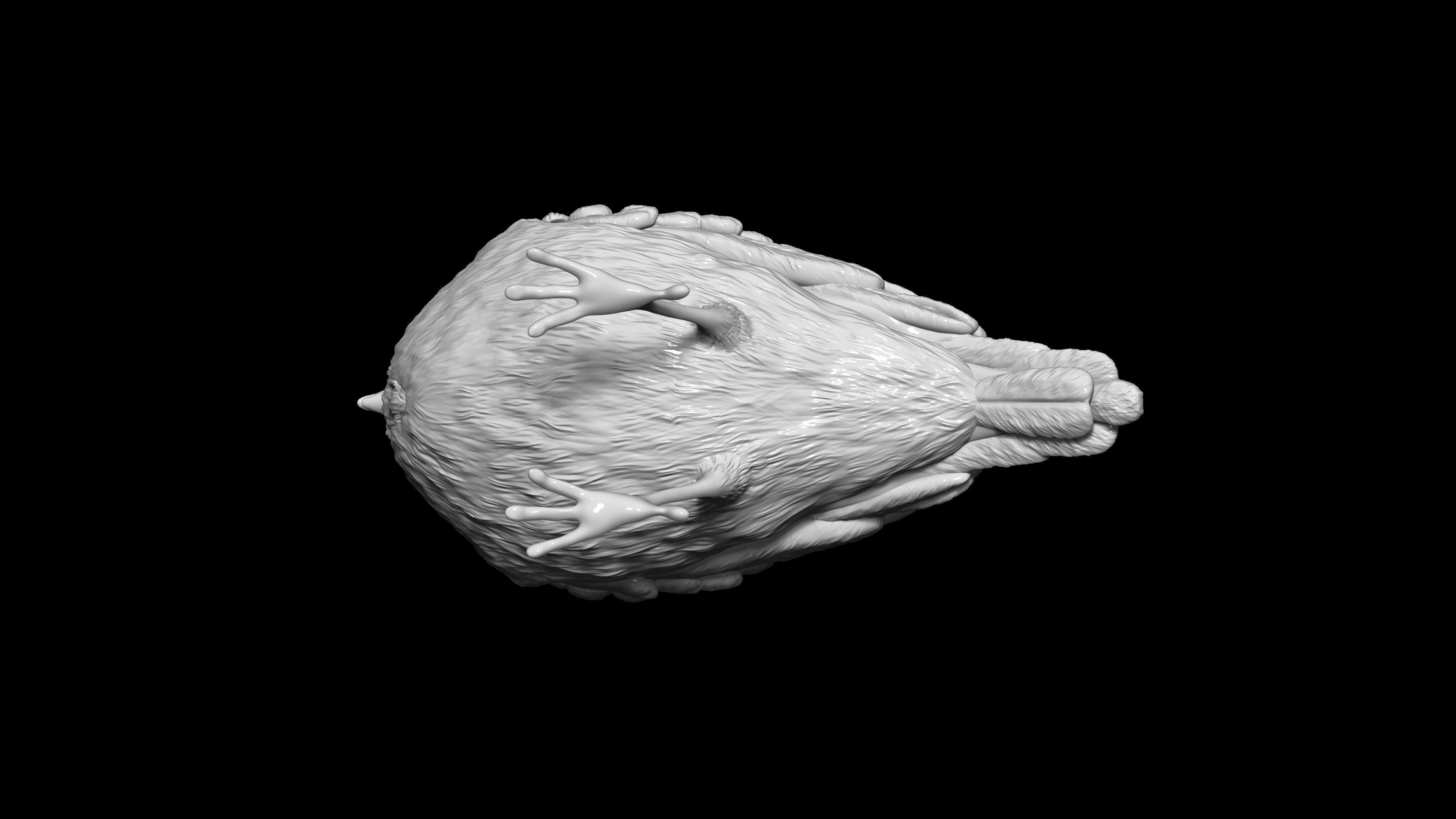 HighPoly Bird 3D print model_14