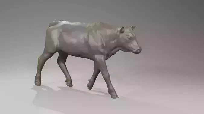 High Poly cattle calf beef heifer for printing 3D print model