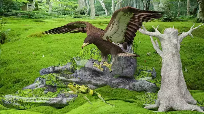 Eagle Attack 2 - 4K 3D model