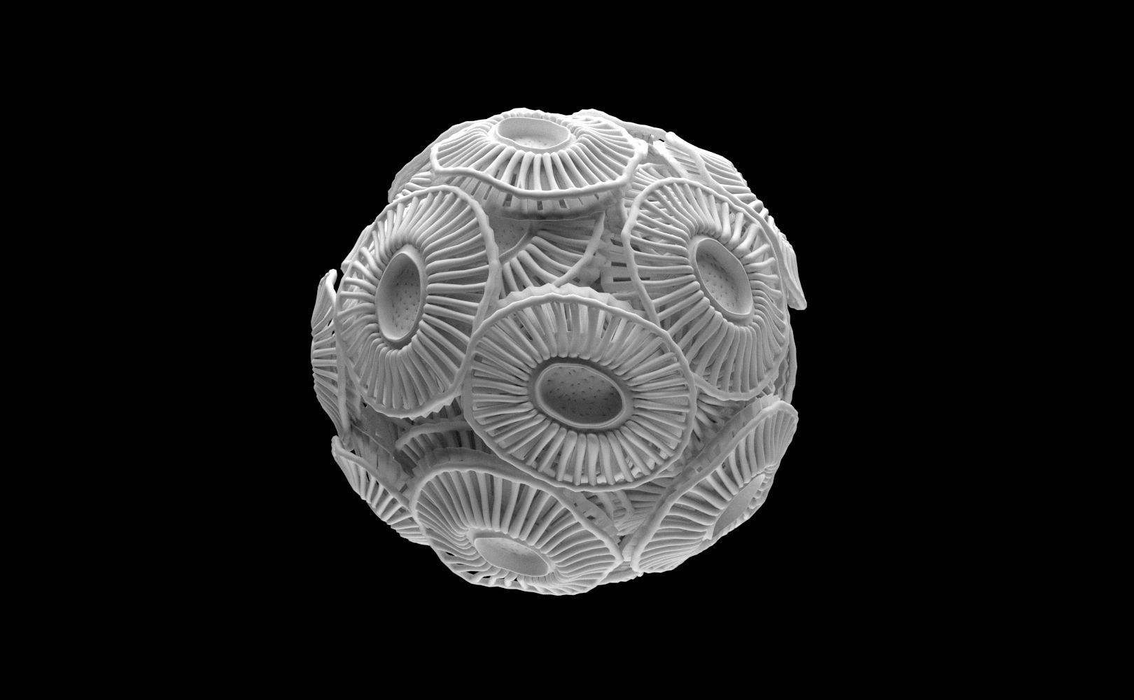Emiliania huxleyi Plankton 3D model_2