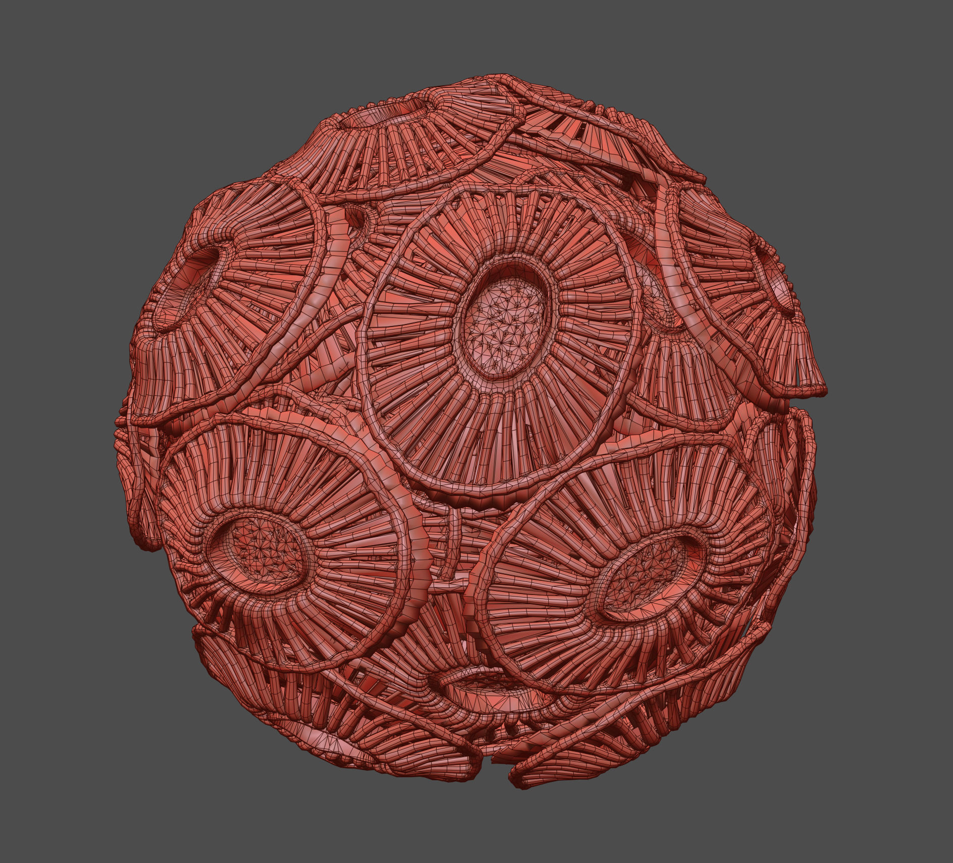 Emiliania huxleyi Plankton 3D model_5