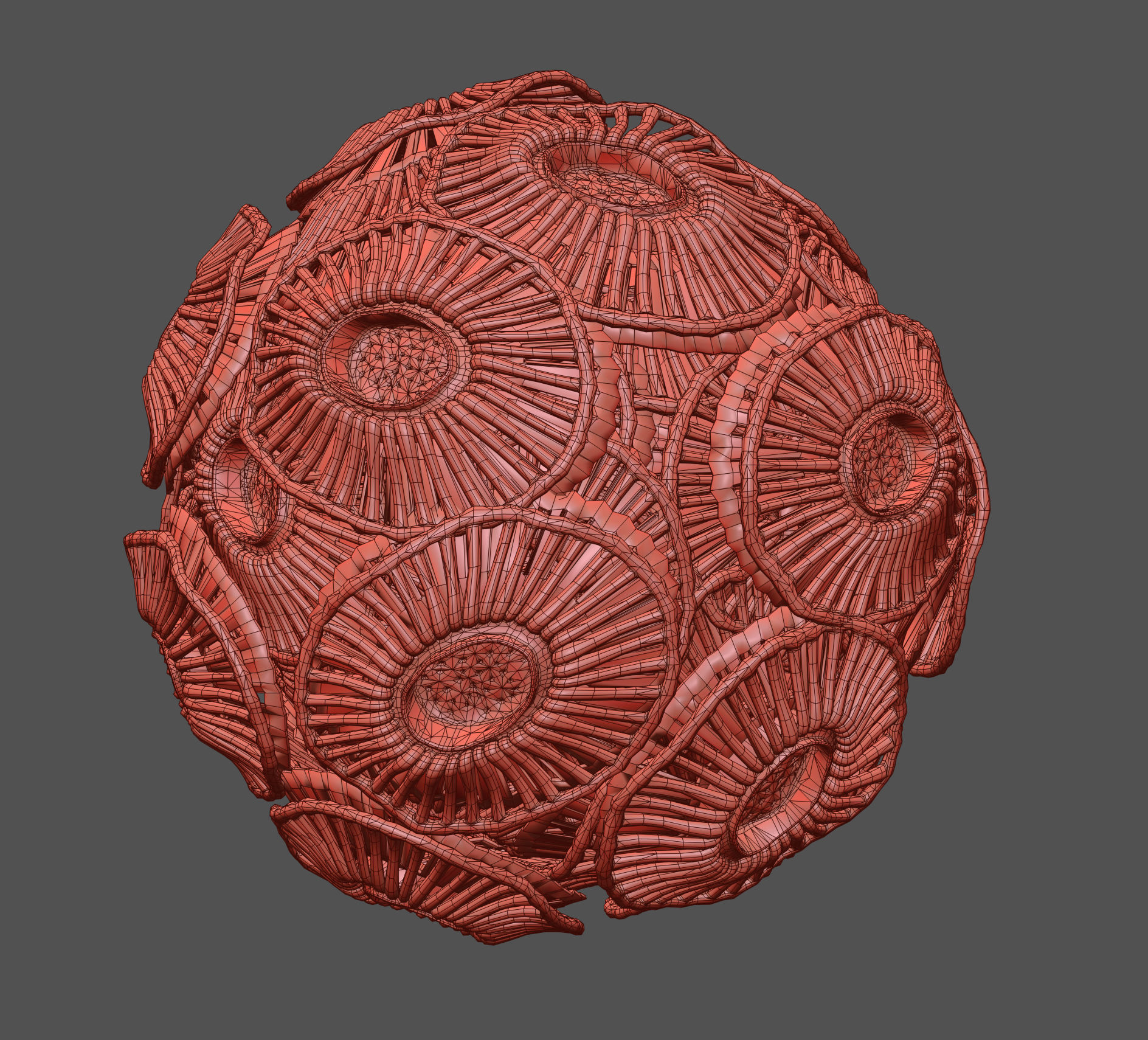 Emiliania huxleyi Plankton 3D model_4