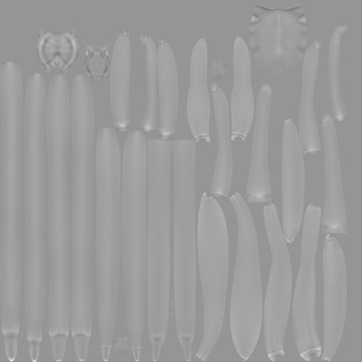 Daddy Long Legs Low-poly 3D model_12