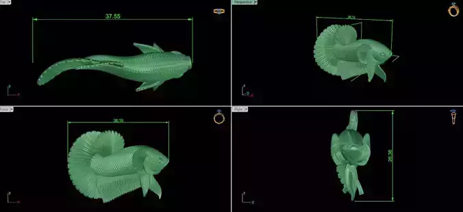 fish beta 3D print model