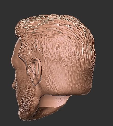 Star Wars Axe Woves Hot Toys Head 3D print model_3