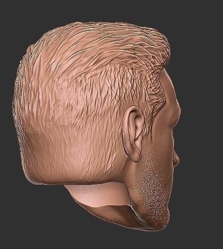 Star Wars Axe Woves Hot Toys Head 3D print model_4